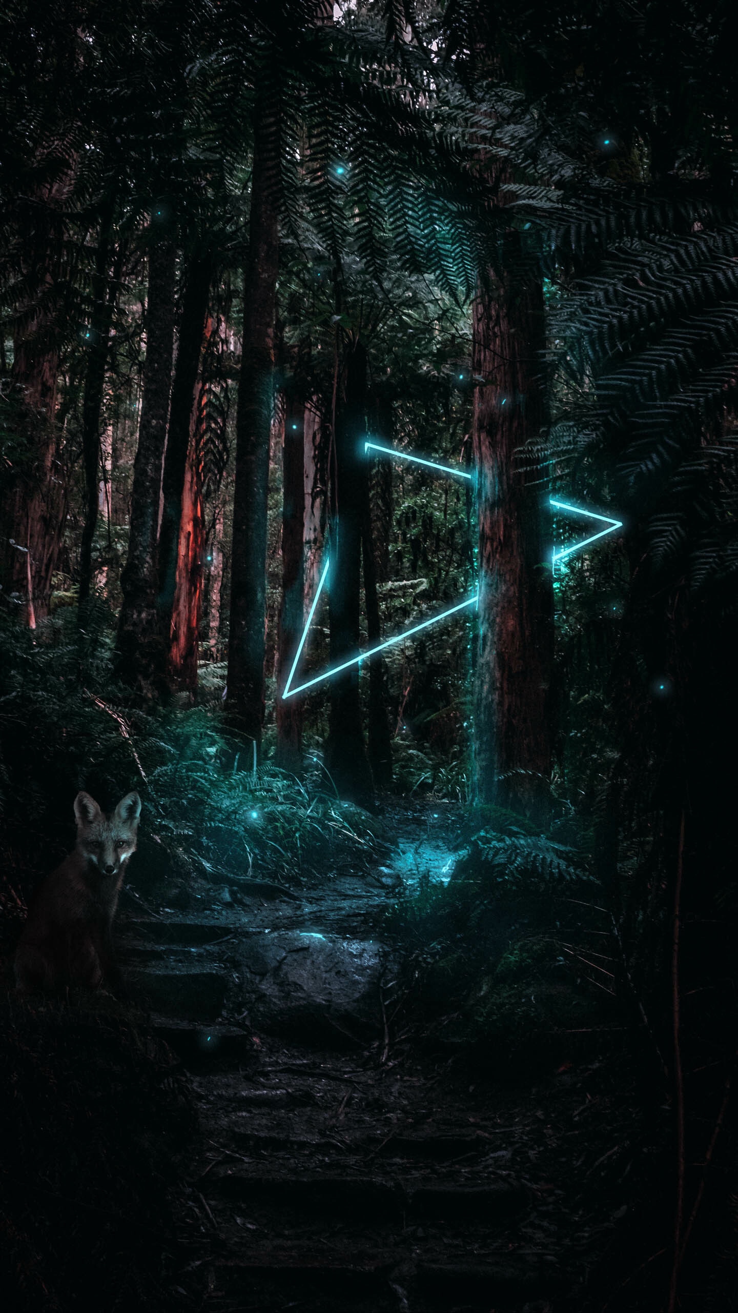 80318 download wallpaper magic, fox, shine, light, miscellanea, miscellaneous, forest, triangle screensavers and pictures for free