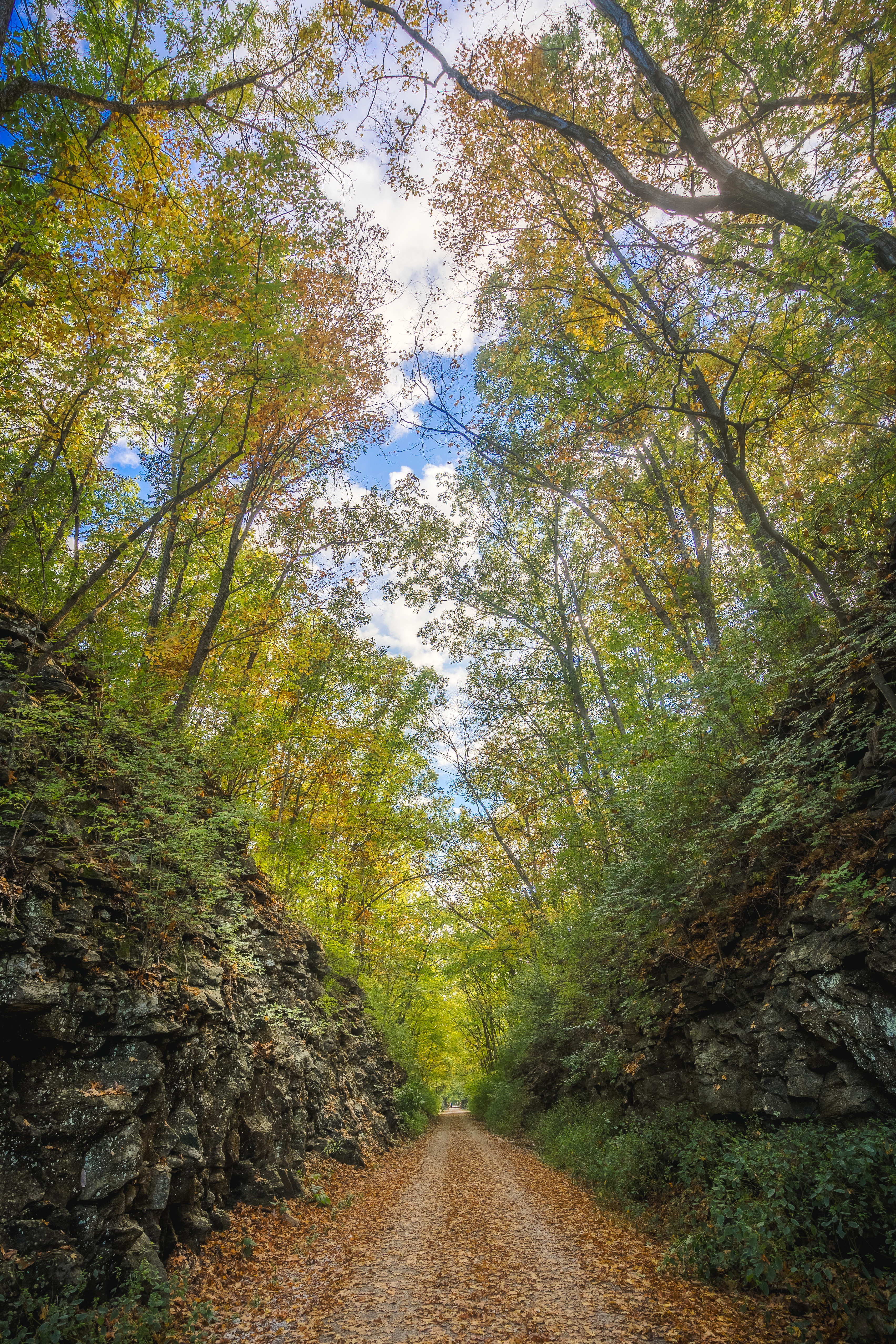 rock, nature, road, alley, stone, foliage 4K