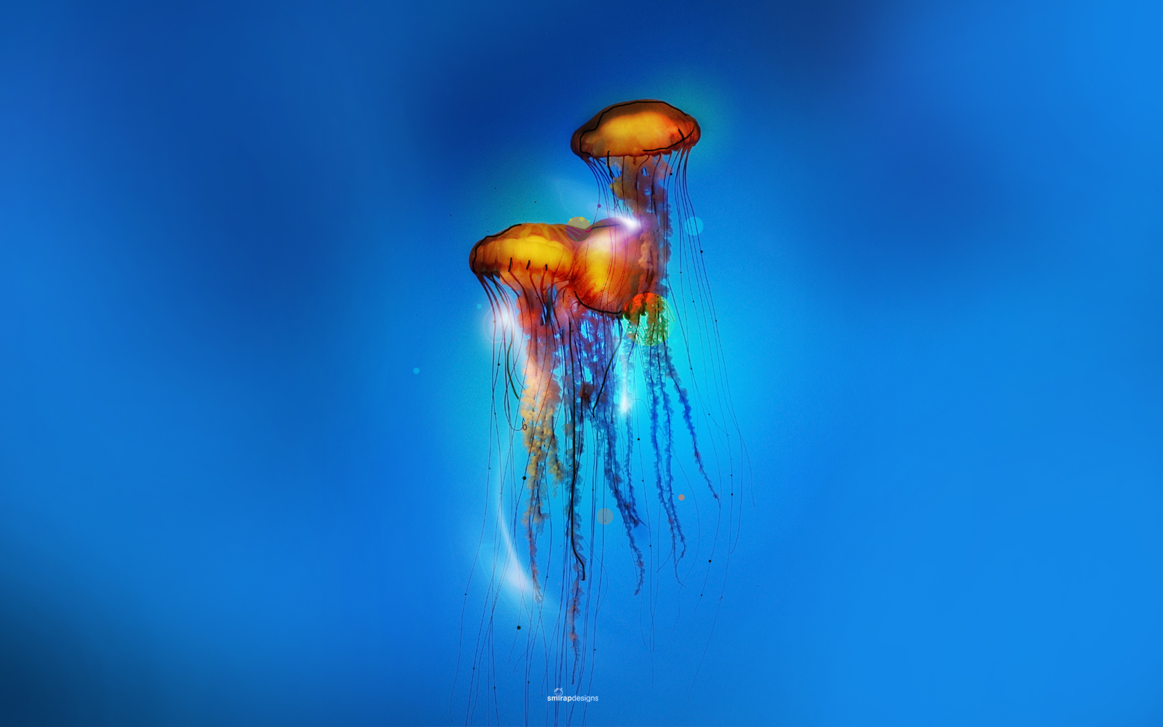Jellyfish  Desktop FHD