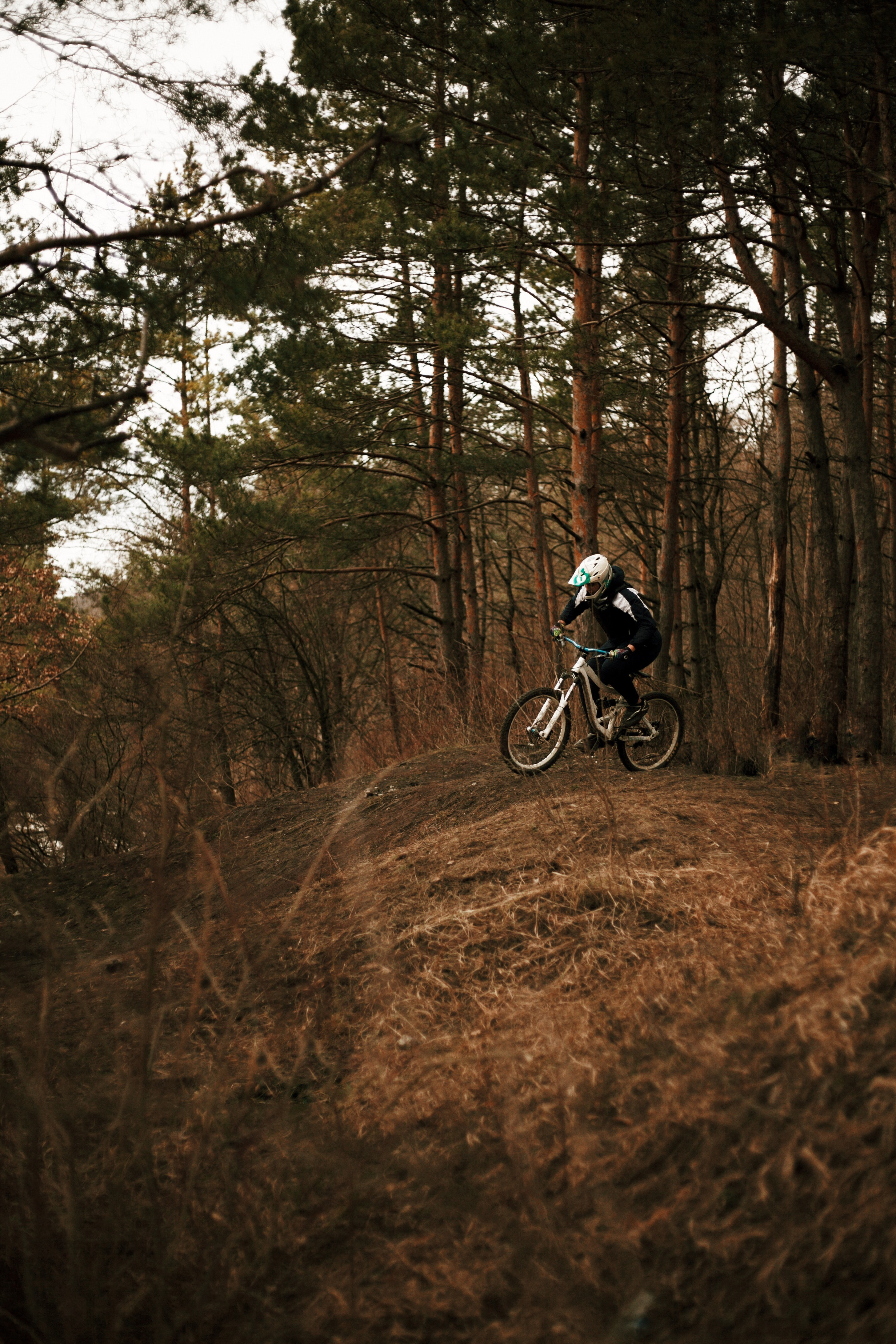 iPhone Wallpapers sports, trees, cyclist, forest Bicycle