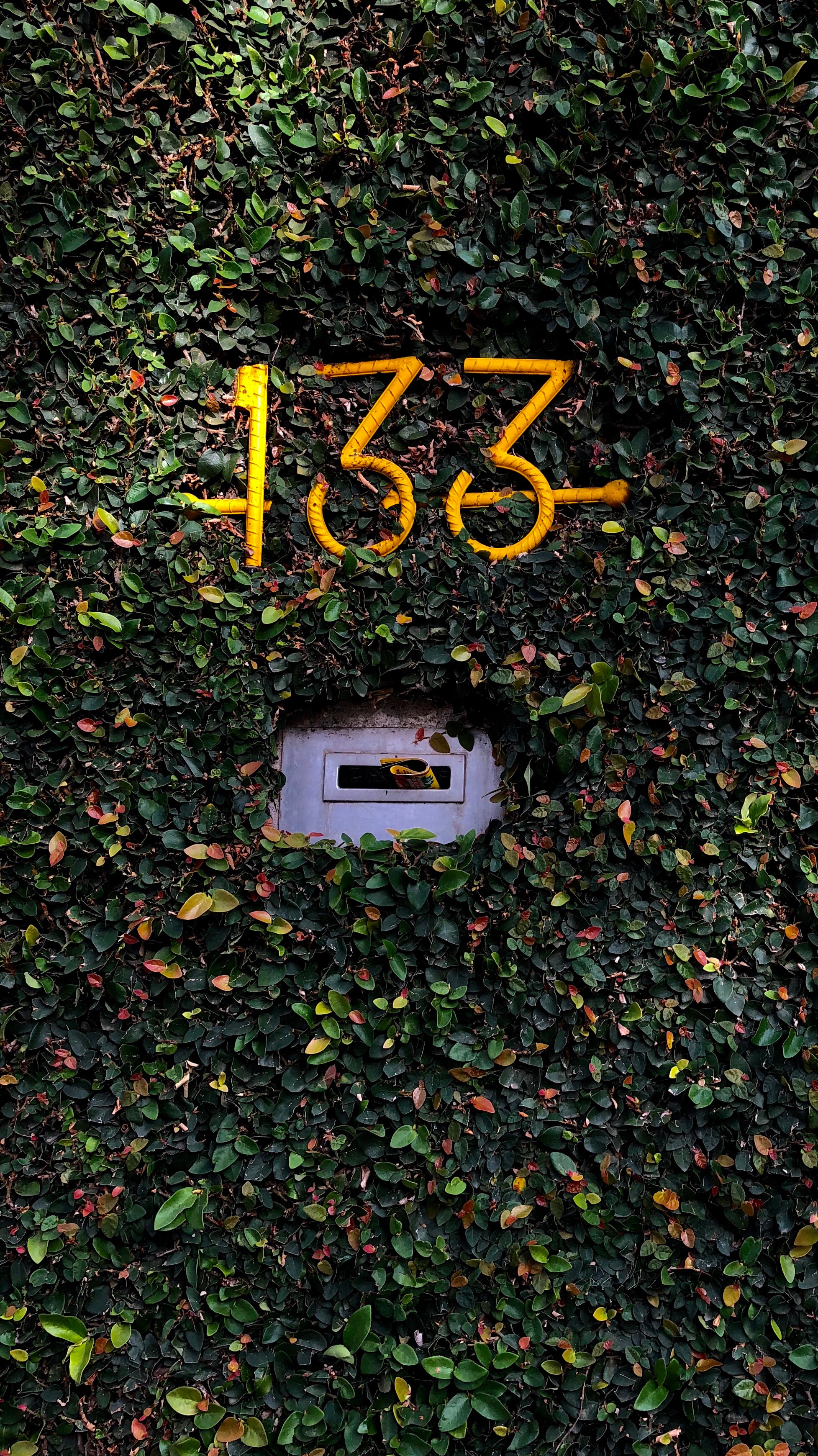 miscellanea, plant, miscellaneous, room, foliage, number, mailbox HD wallpaper