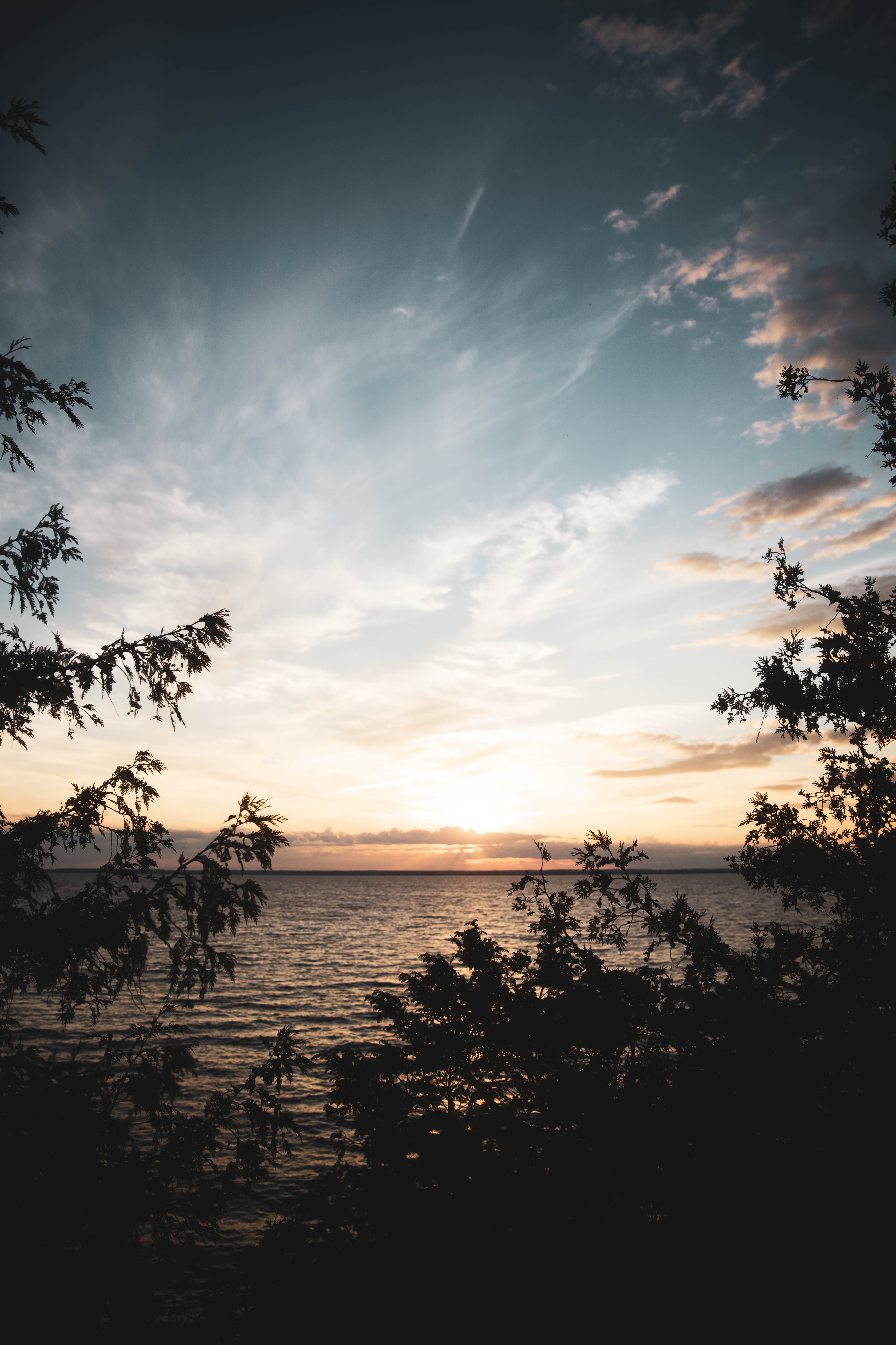 126156 Bildschirmschoner und Hintergrundbilder Sunset auf Ihrem Telefon. Laden Sie horizont, zweige, sea, natur Bilder kostenlos herunter