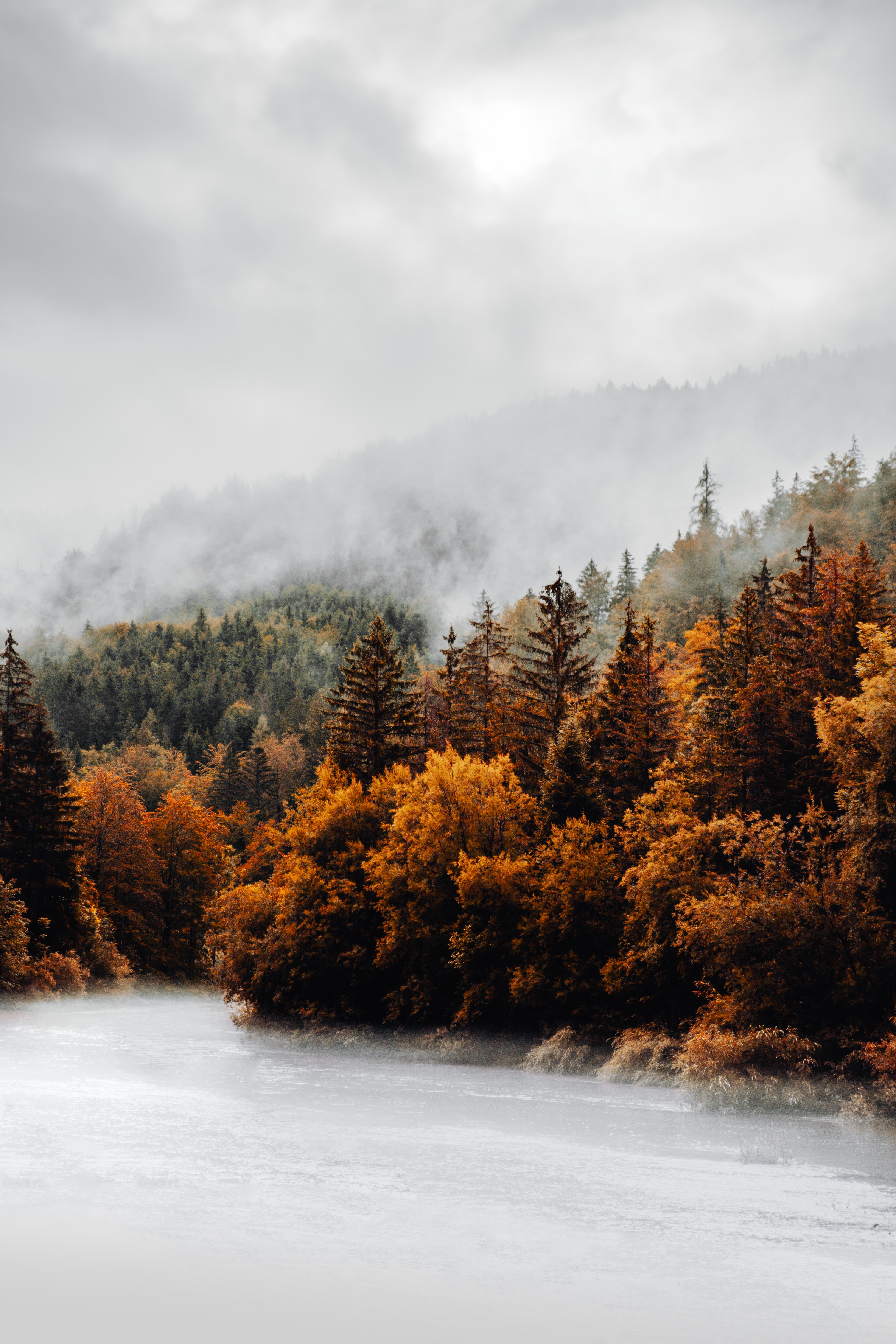 autumn, nature, clouds, forest, fog, trees