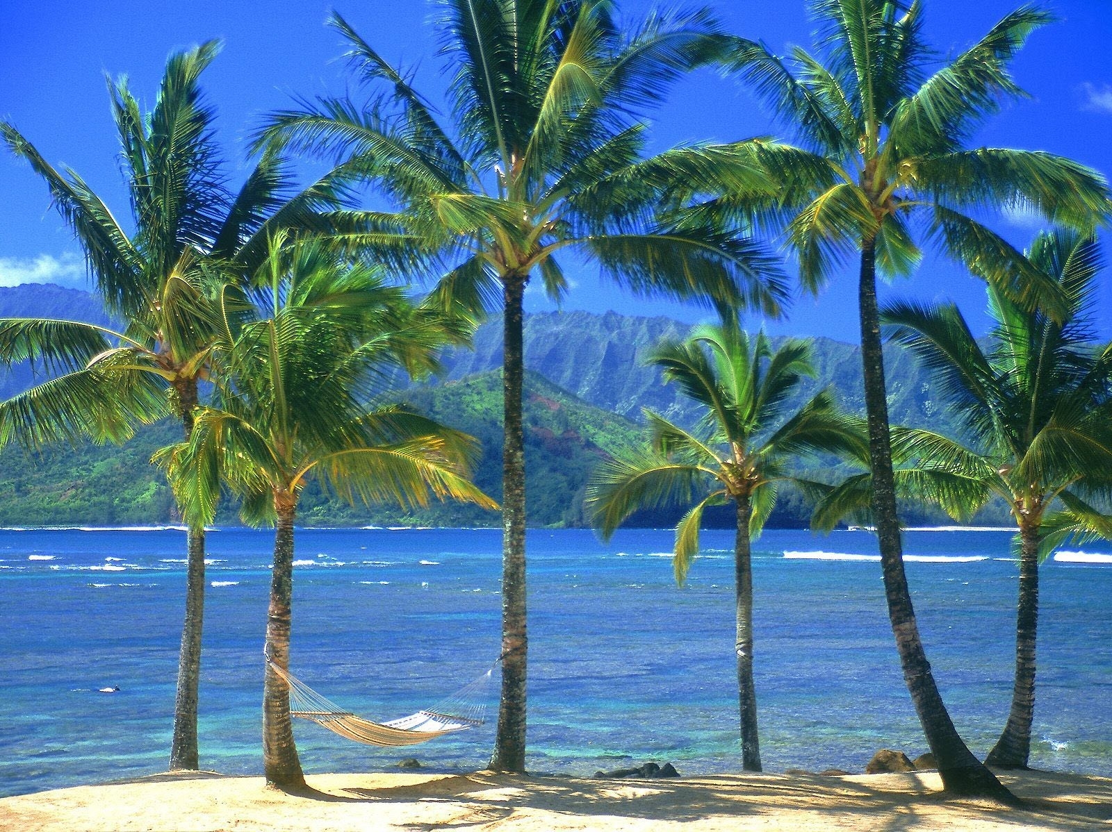 86255 скачать обои природа, пальмы, пляж, море, берег, гамак - заставки и картинки бесплатно