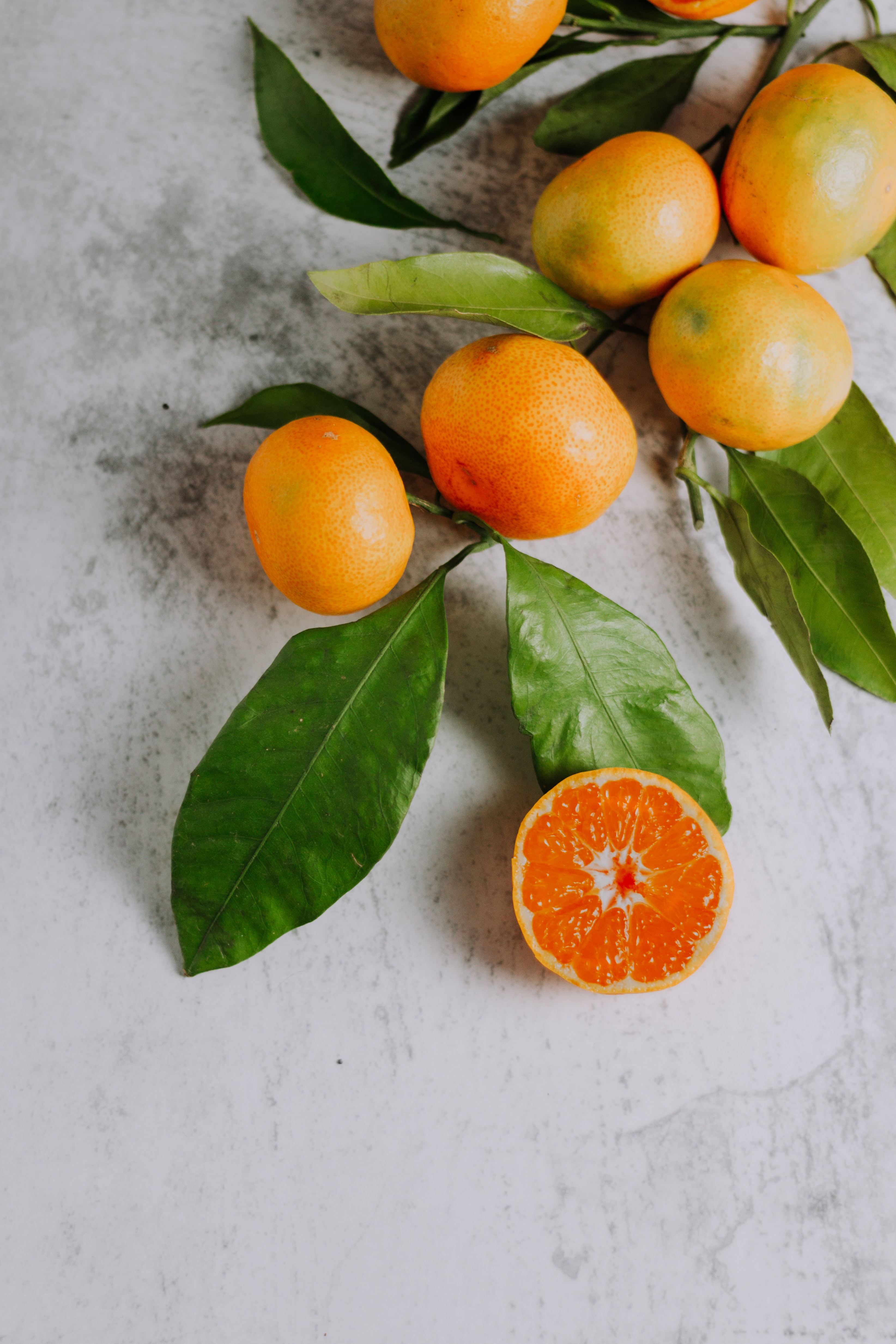 Widescreen image orange, branch, food, fruits
