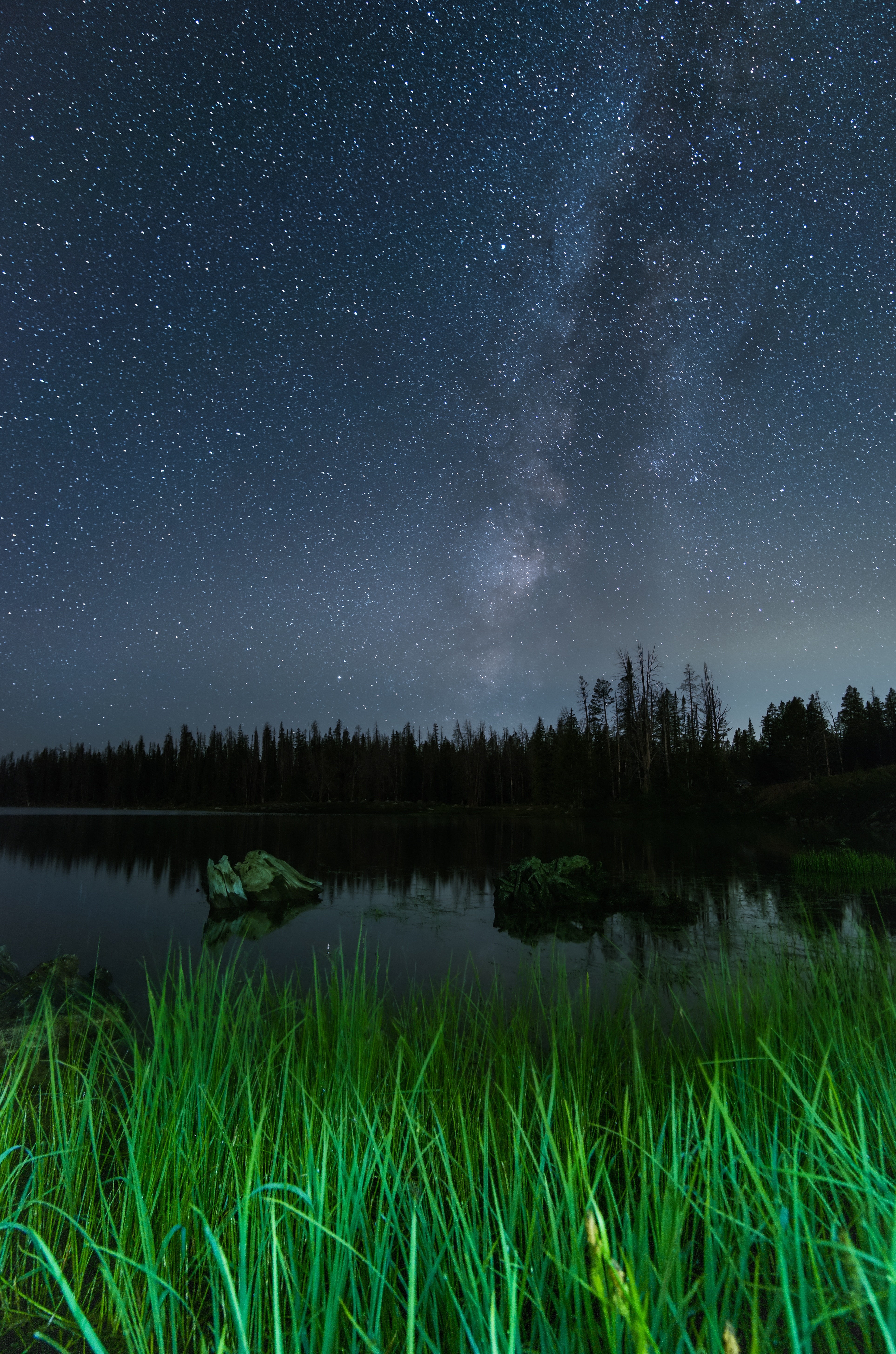 Laden Sie das Natur, Bäume, Grass, Übernachtung, See, Sternenhimmel-Bild kostenlos auf Ihren PC-Desktop herunter