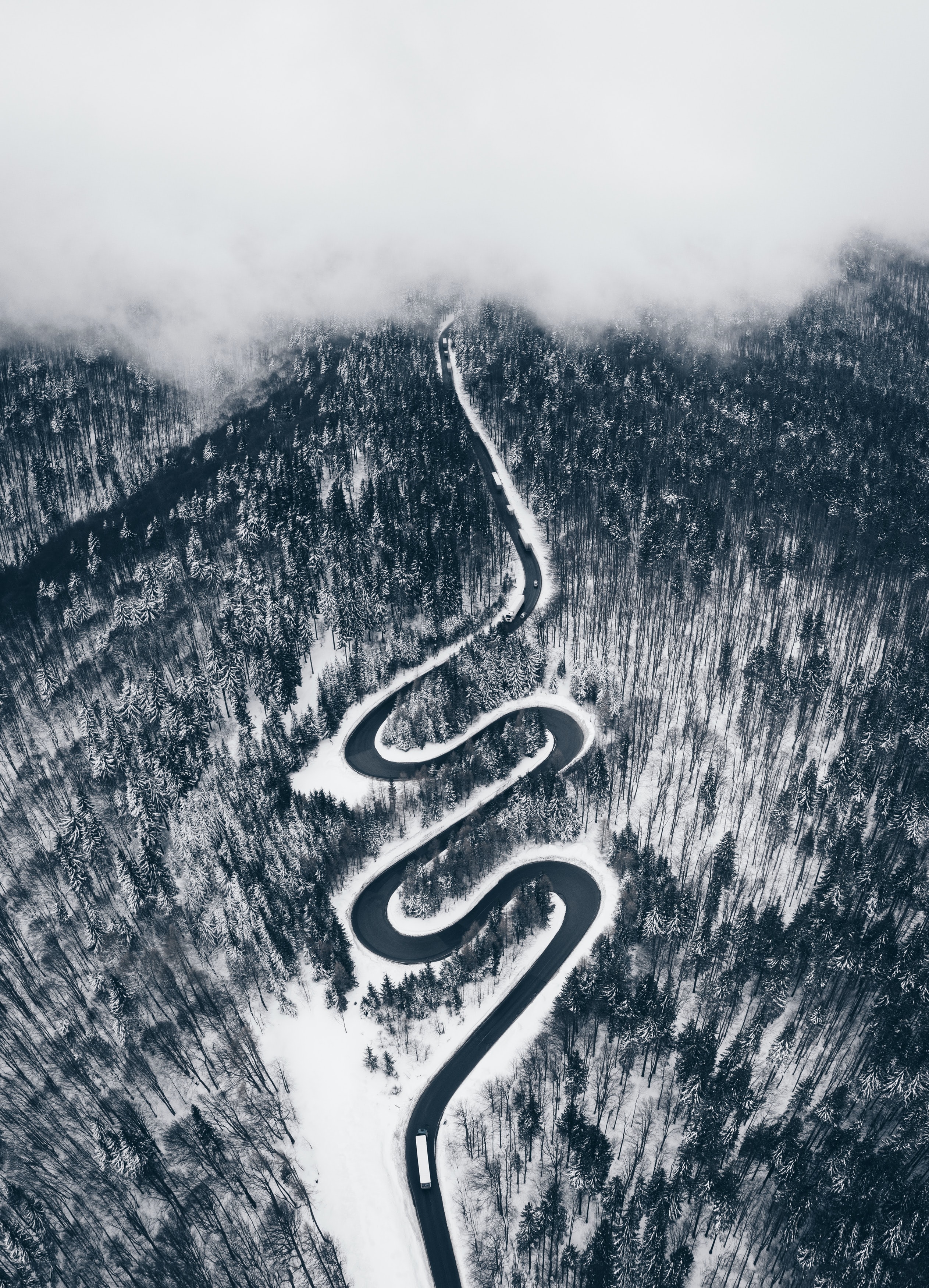 winding, forest, nature, snow, view from above, road, sinuous