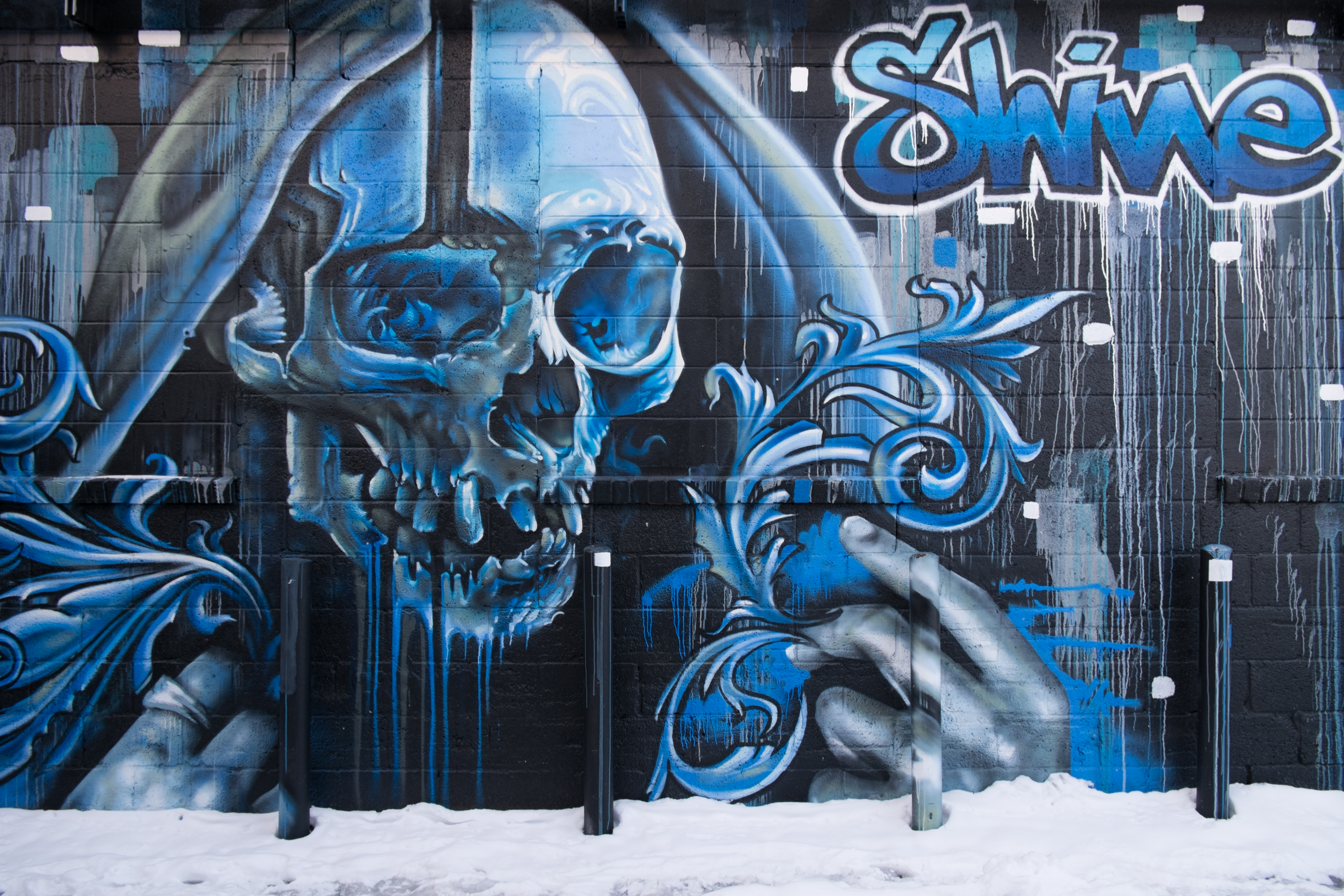 graffiti, art, wall, street art, skull