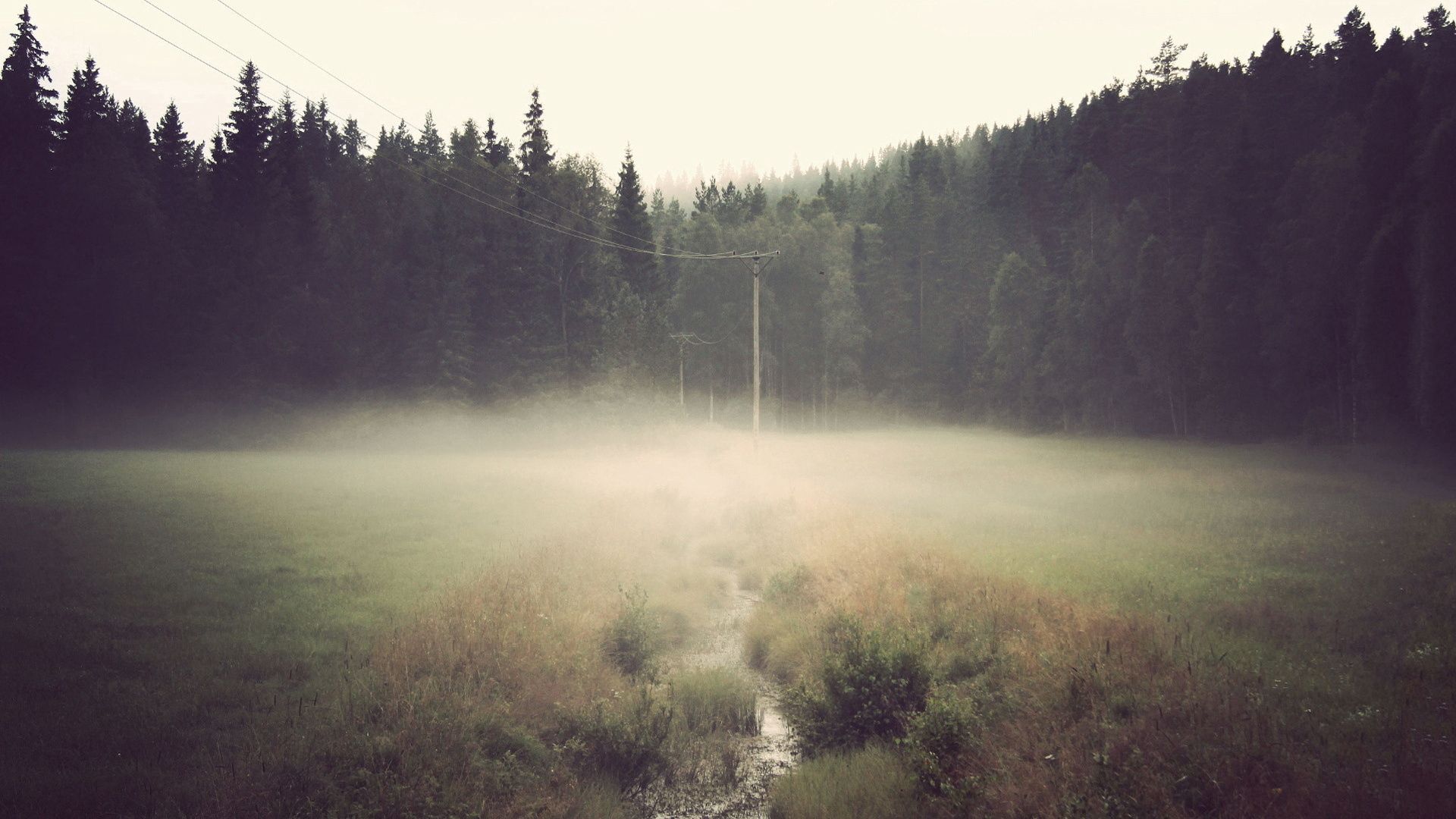 nature, post, fog, pillar 4K iPhone