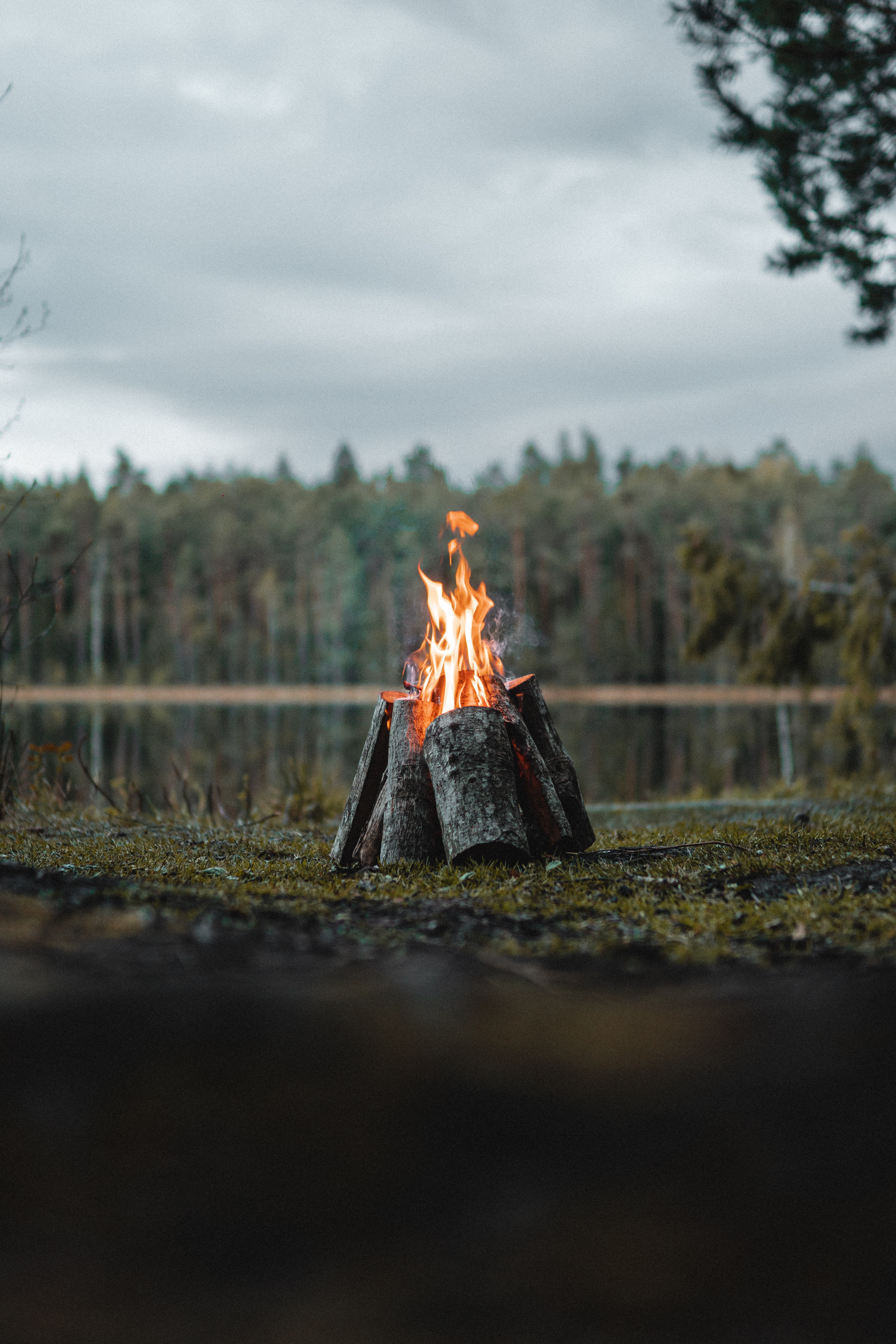 bonfire, fire, flame, miscellanea, miscellaneous, forest, logs Full HD