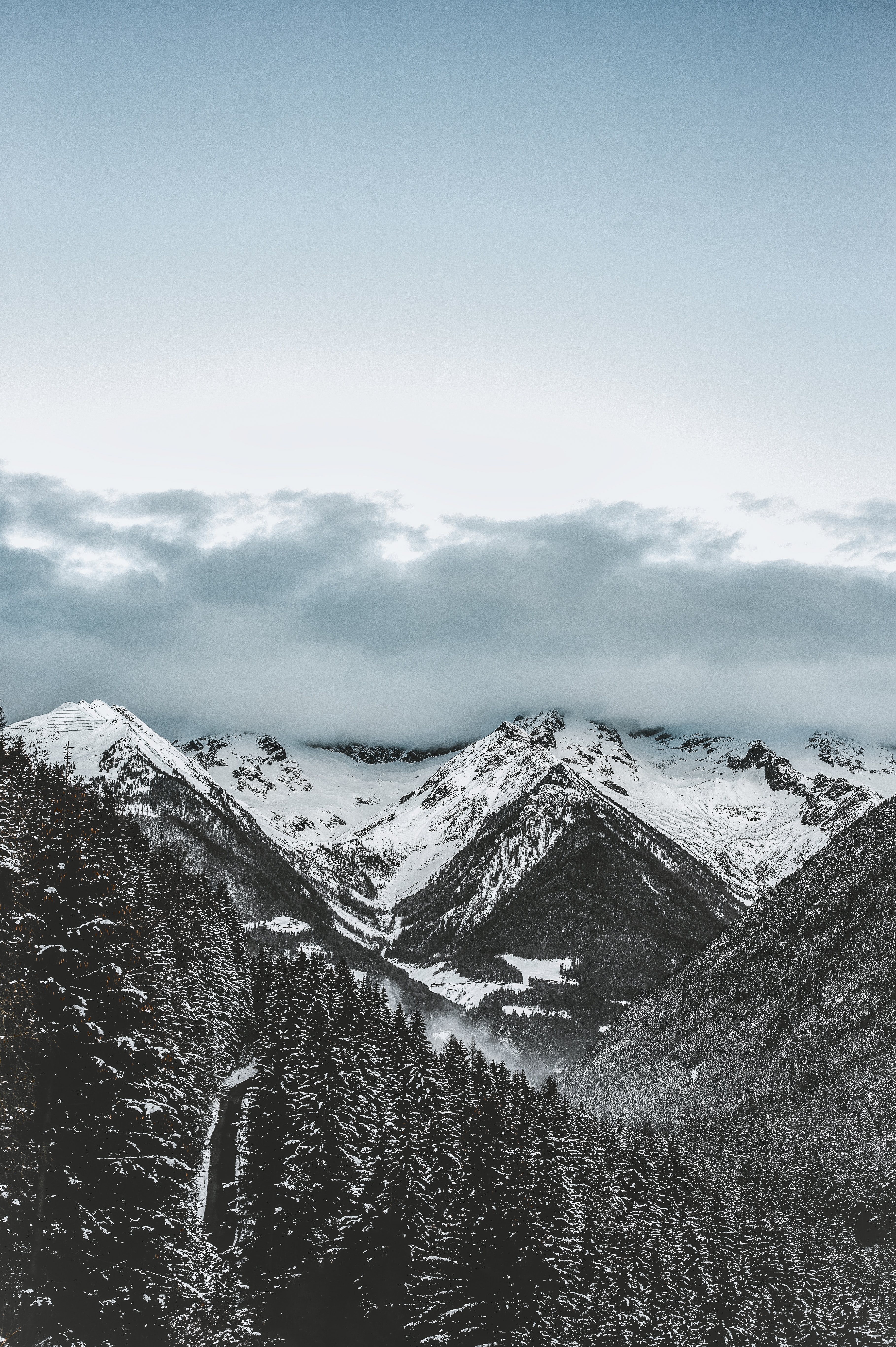 131164 Hintergrundbilder und Schneebedeckt Bilder auf dem Desktop. Laden Sie mountains, bäume, snowbound, winter Bildschirmschoner kostenlos auf den PC herunter