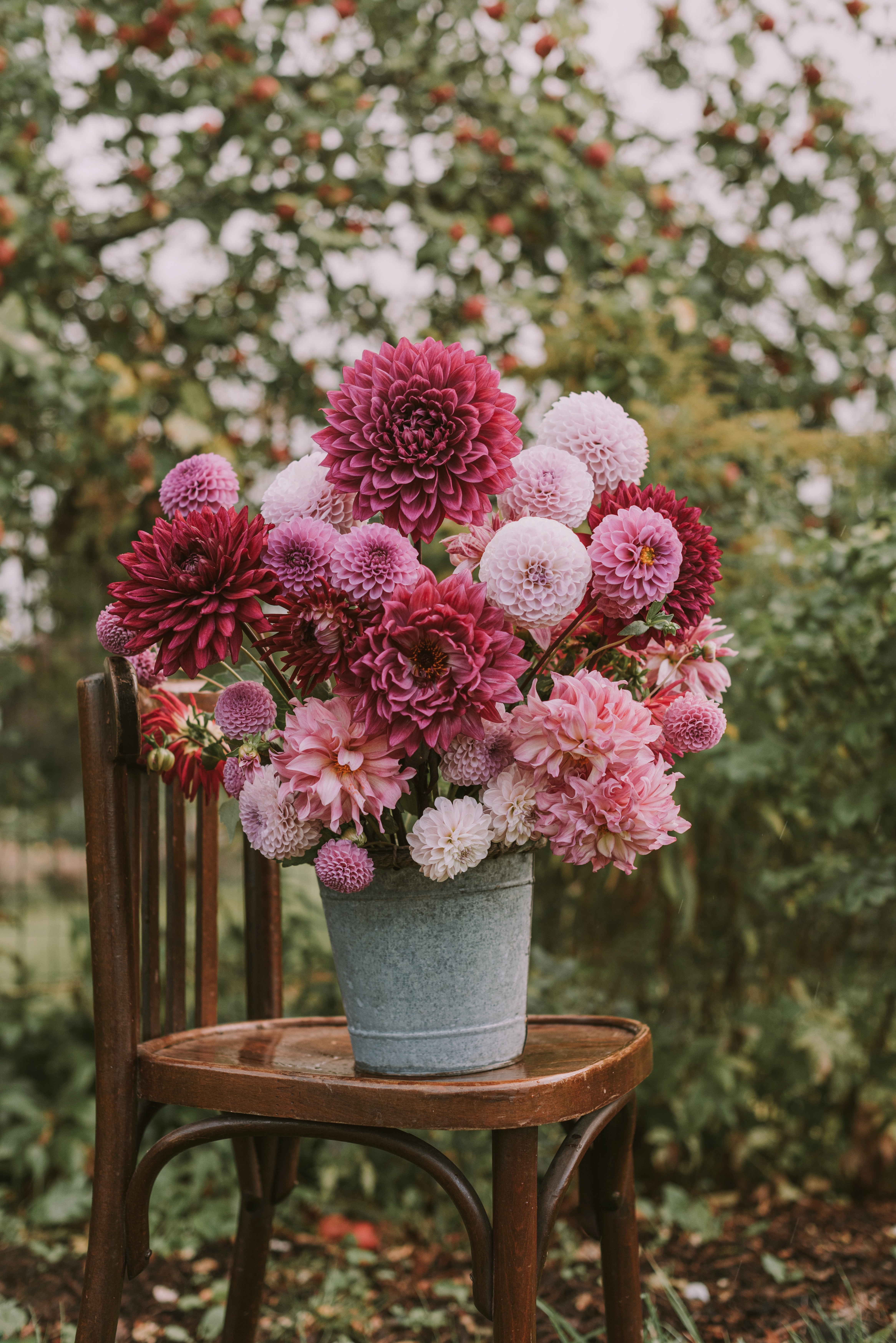 bouquet, pink, pot, flowers Vertical Wallpapers