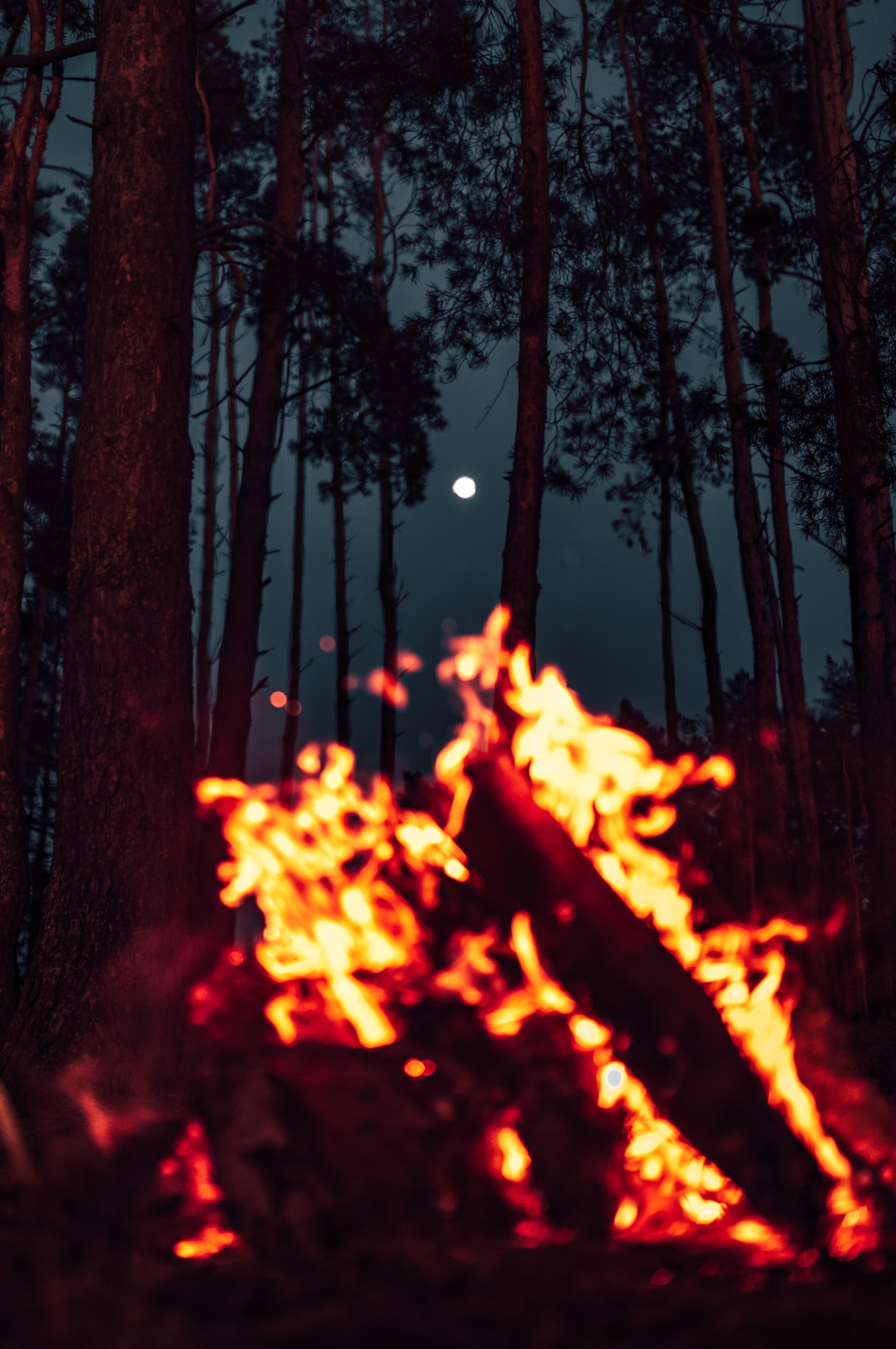 bonfire, sparks, nature, moon, forest lock screen backgrounds