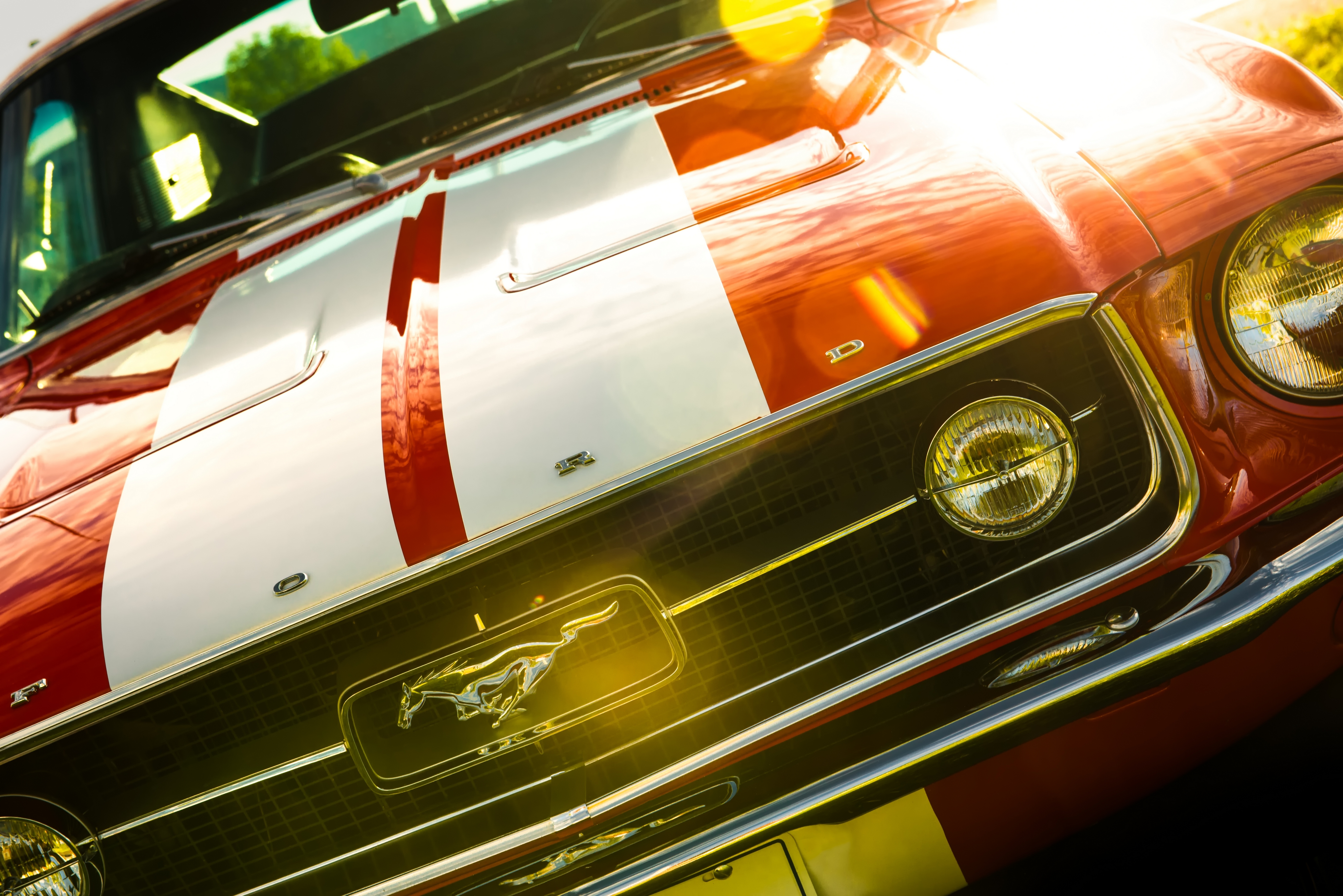 113339 Bildschirmschoner und Hintergrundbilder Ford Mustang auf Ihrem Telefon. Laden Sie cars, 1967, ford mustang, stoßstange, fastback Bilder kostenlos herunter