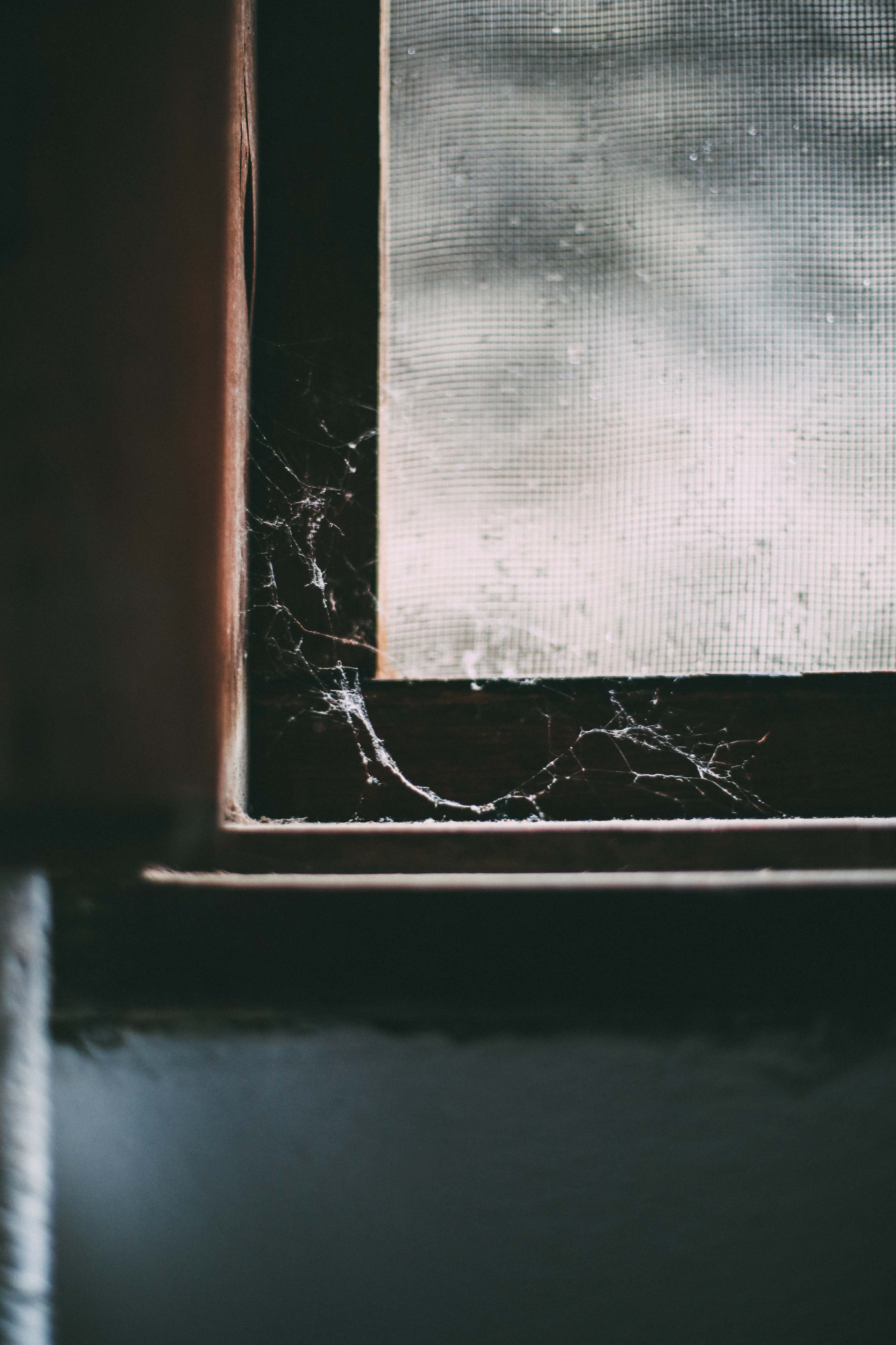 macro, old, window, abandoned, web, dark