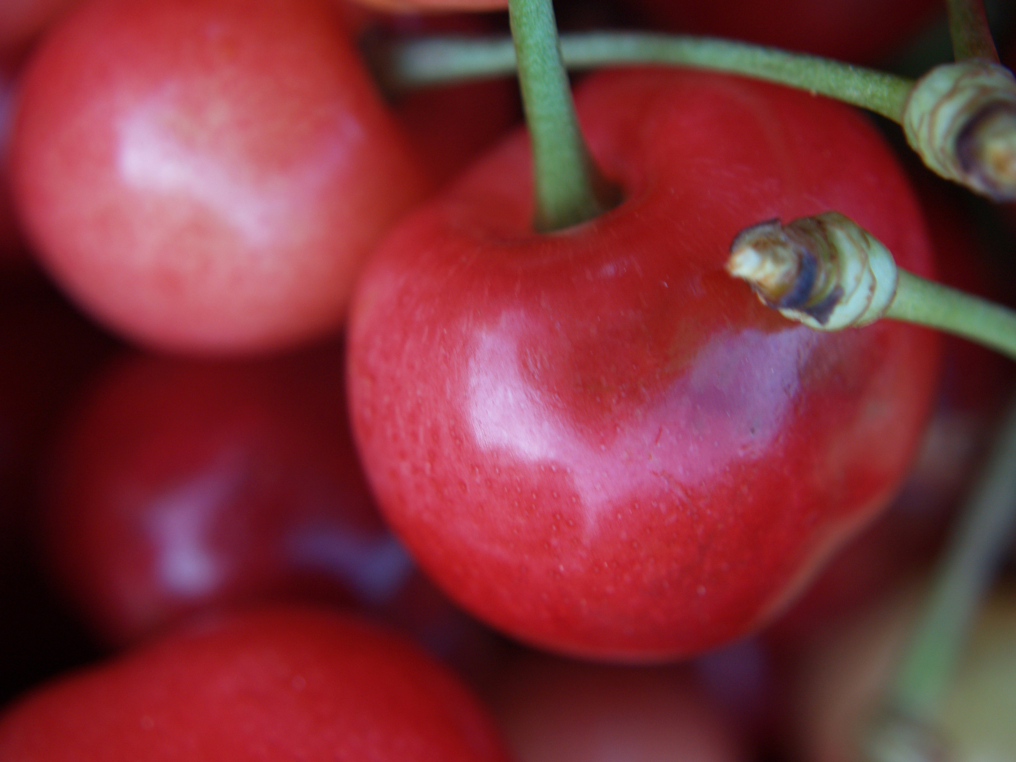 cherry, close up, food, fruits 1080p