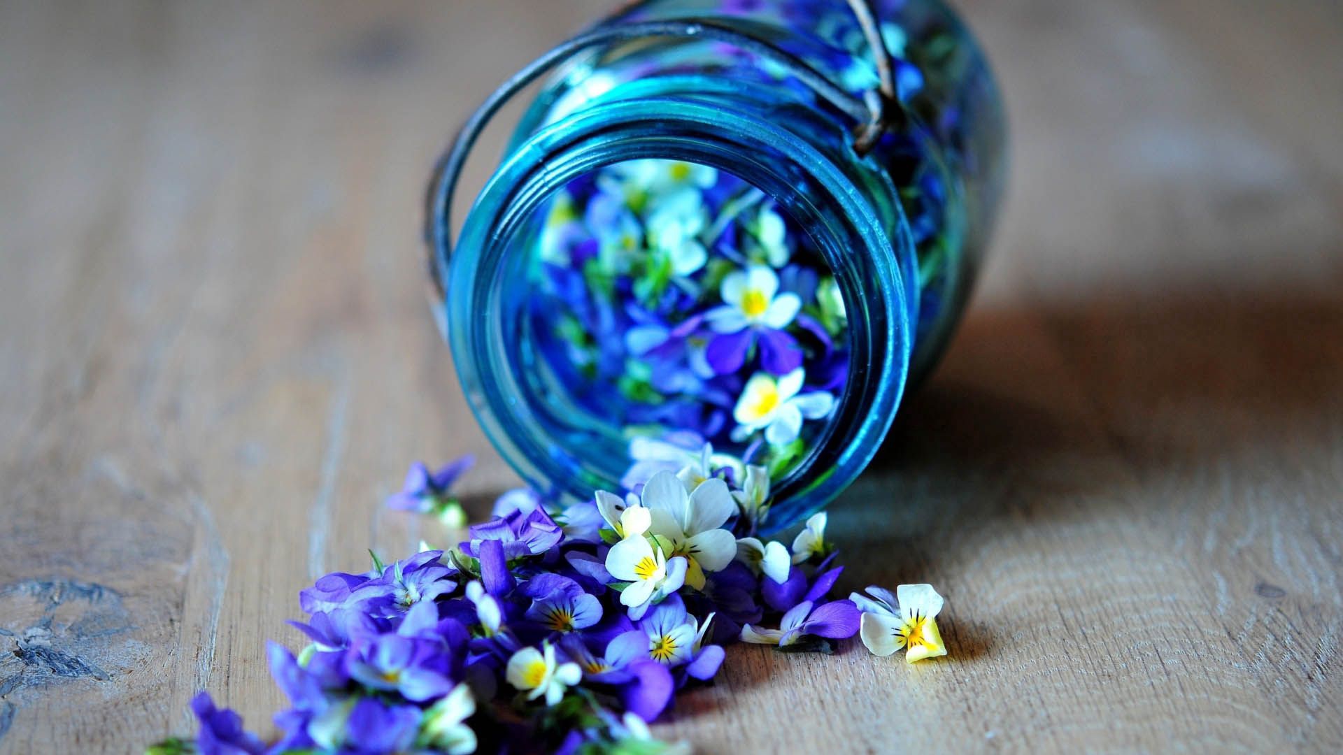 Handy-Wallpaper Blumen, Bank, Glas, Jar, Verstreut kostenlos herunterladen.