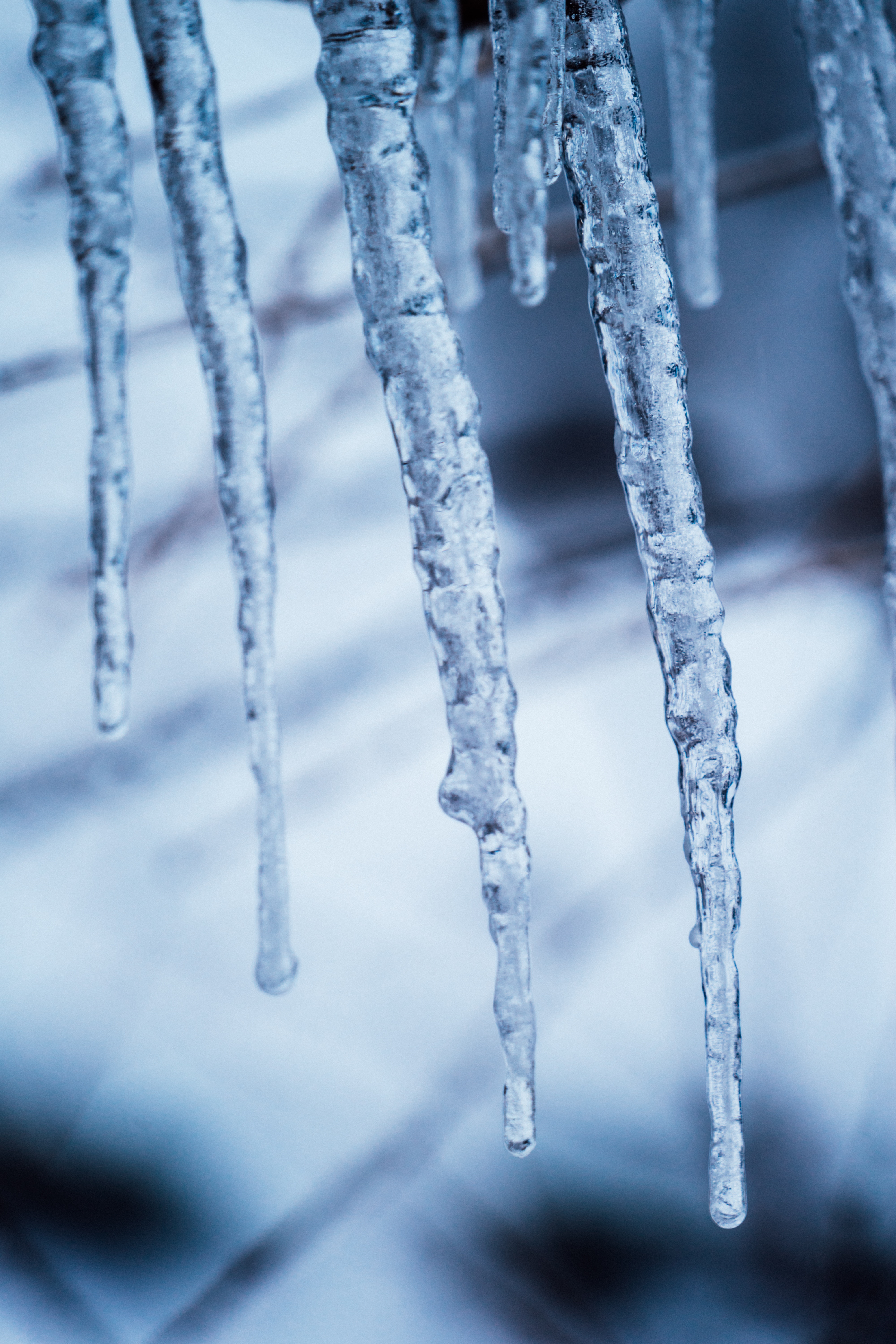 frost, winter, icicles, frozen Ice HQ Background Images
