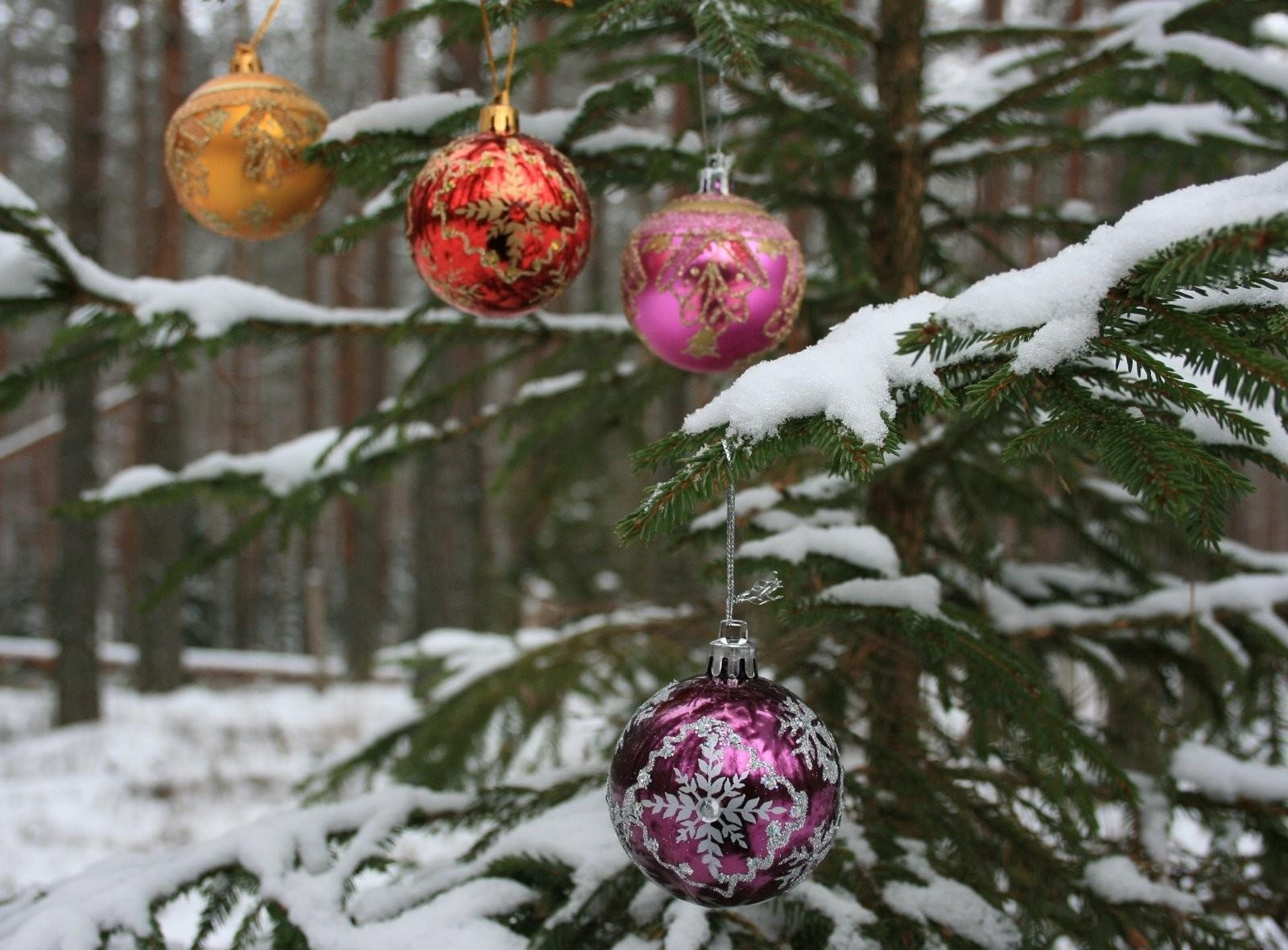Handy-Wallpaper Weihnachtsbaum, Feiertage, Neujahr, Schnee, Wald, Neues Jahr, Urlaub, Ast, Zweig, Bälle kostenlos herunterladen.