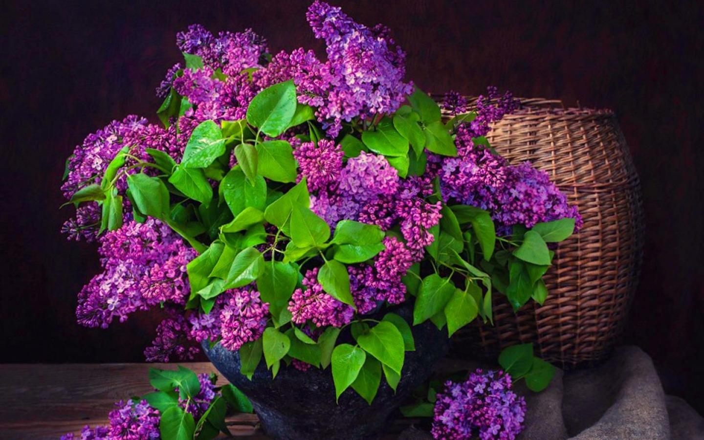 purple flower, basket, man made, still life HD screen wallpaper