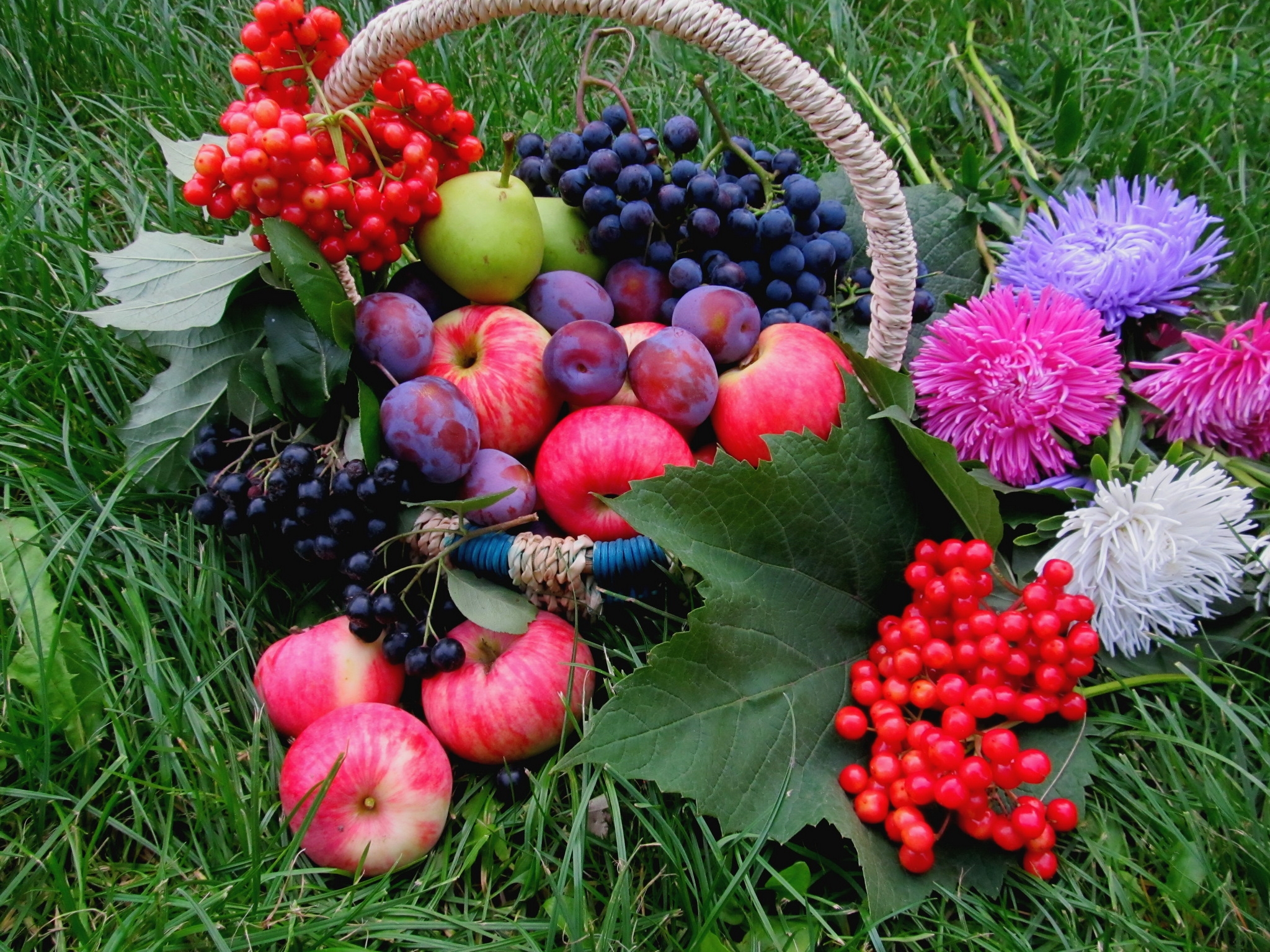 apples, flowers, grass, plum Food Cellphone FHD pic