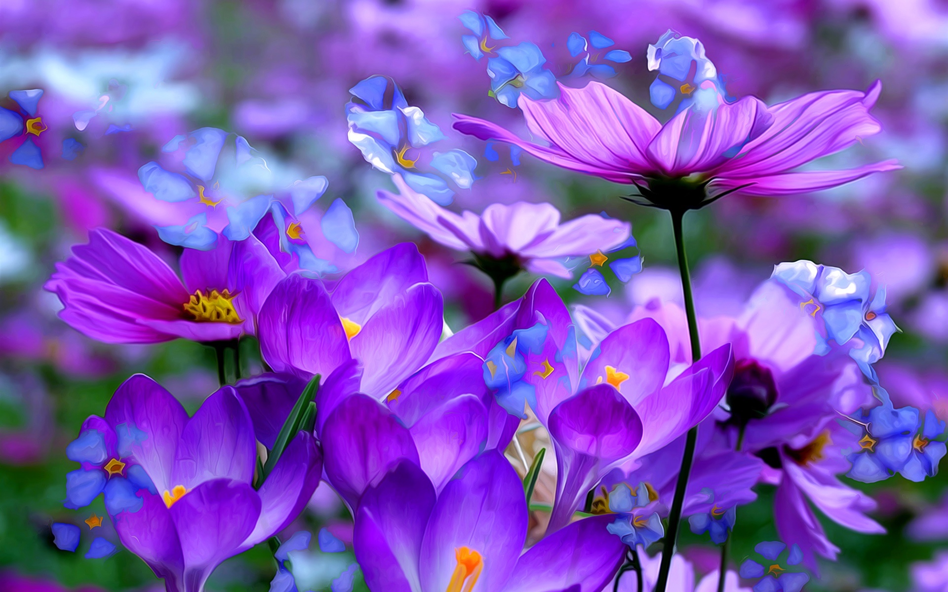 purple flower, artistic, painting, close up, cosmos, crocus, flower
