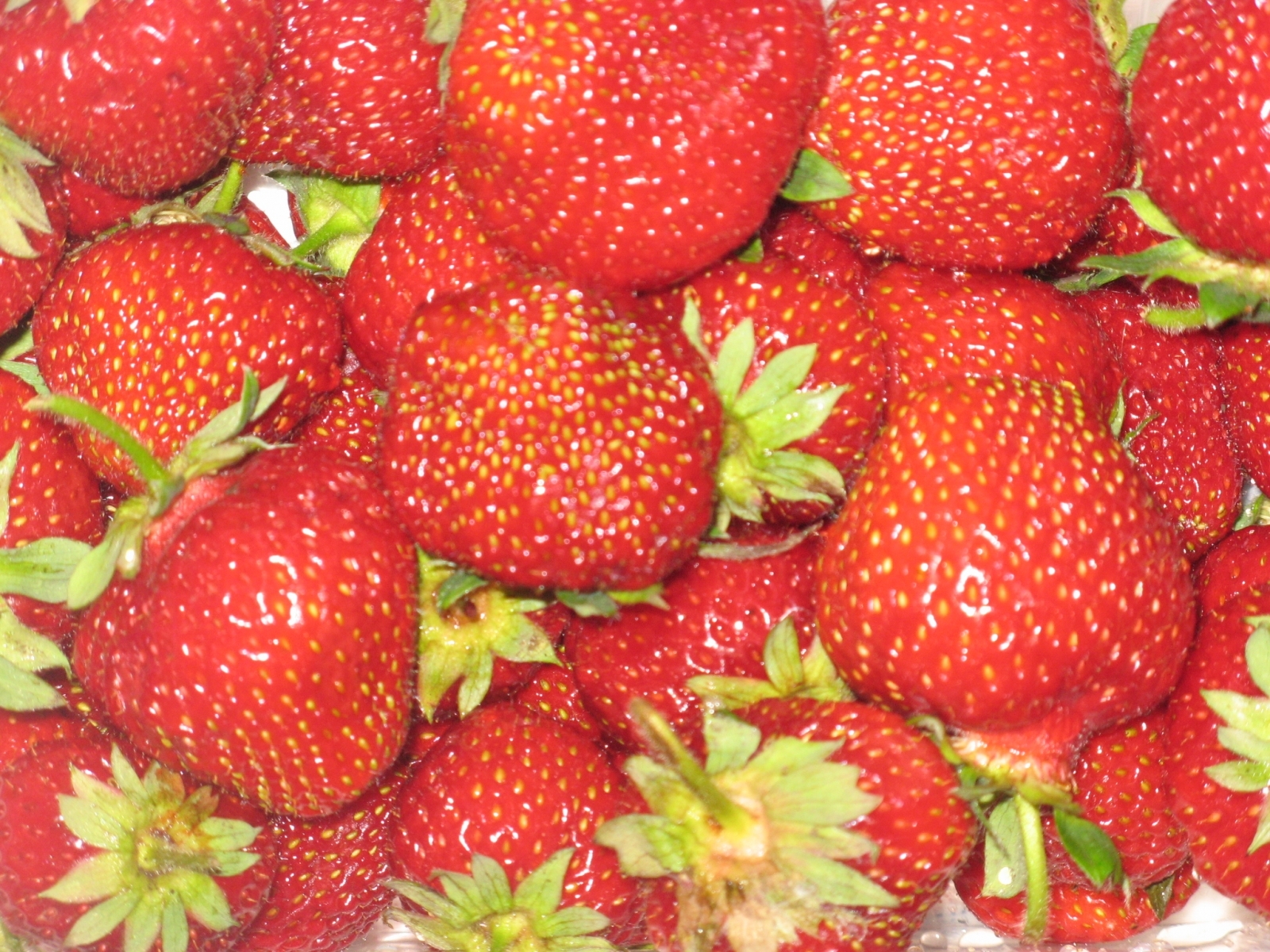 Laden Sie das Erdbeere, Hintergrund-Bild kostenlos auf Ihren PC-Desktop herunter