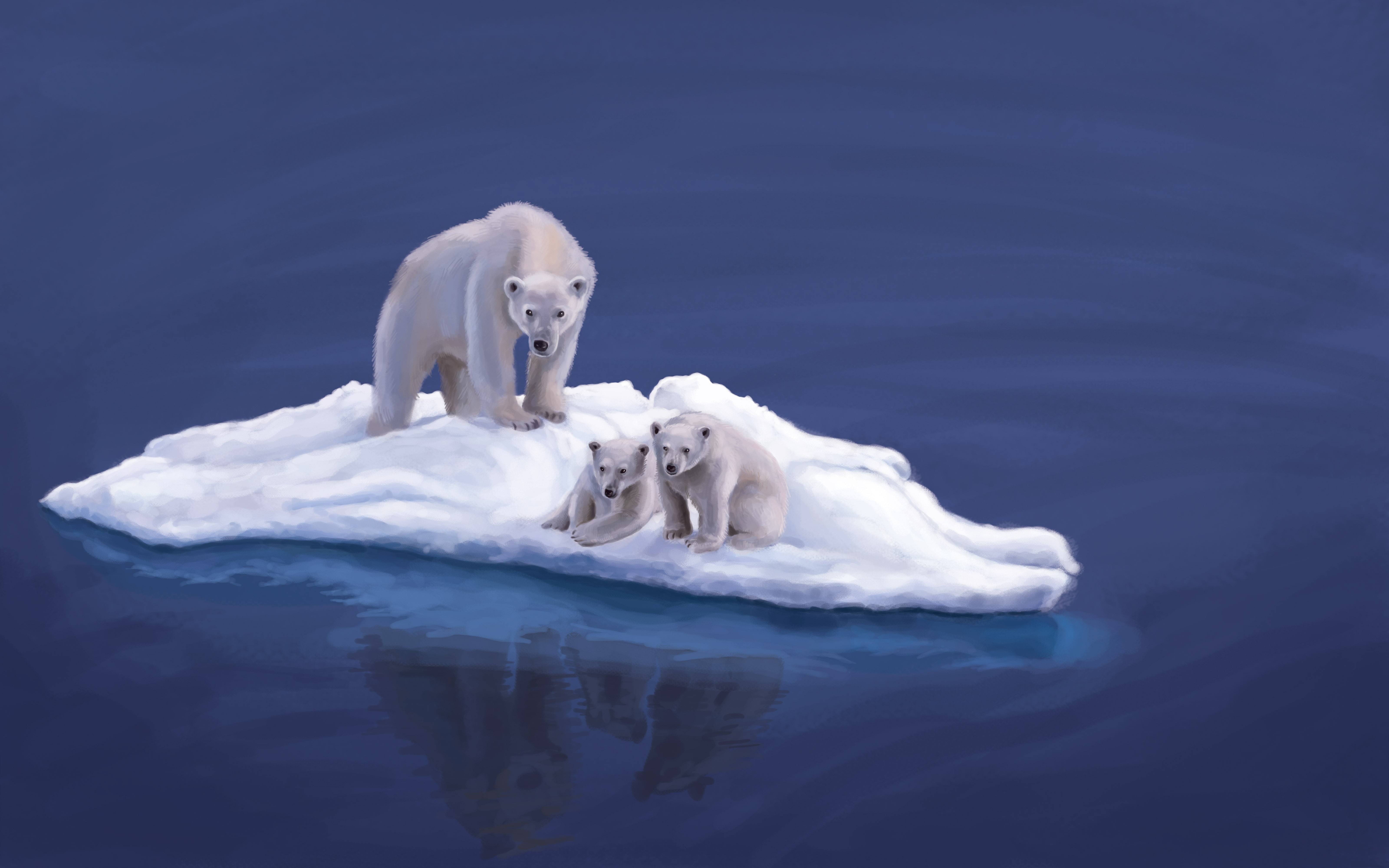 52661 télécharger le fond d'écran animaux, photo, dessin, île, des ours blancs, ours polaires - économiseurs d'écran et images gratuitement