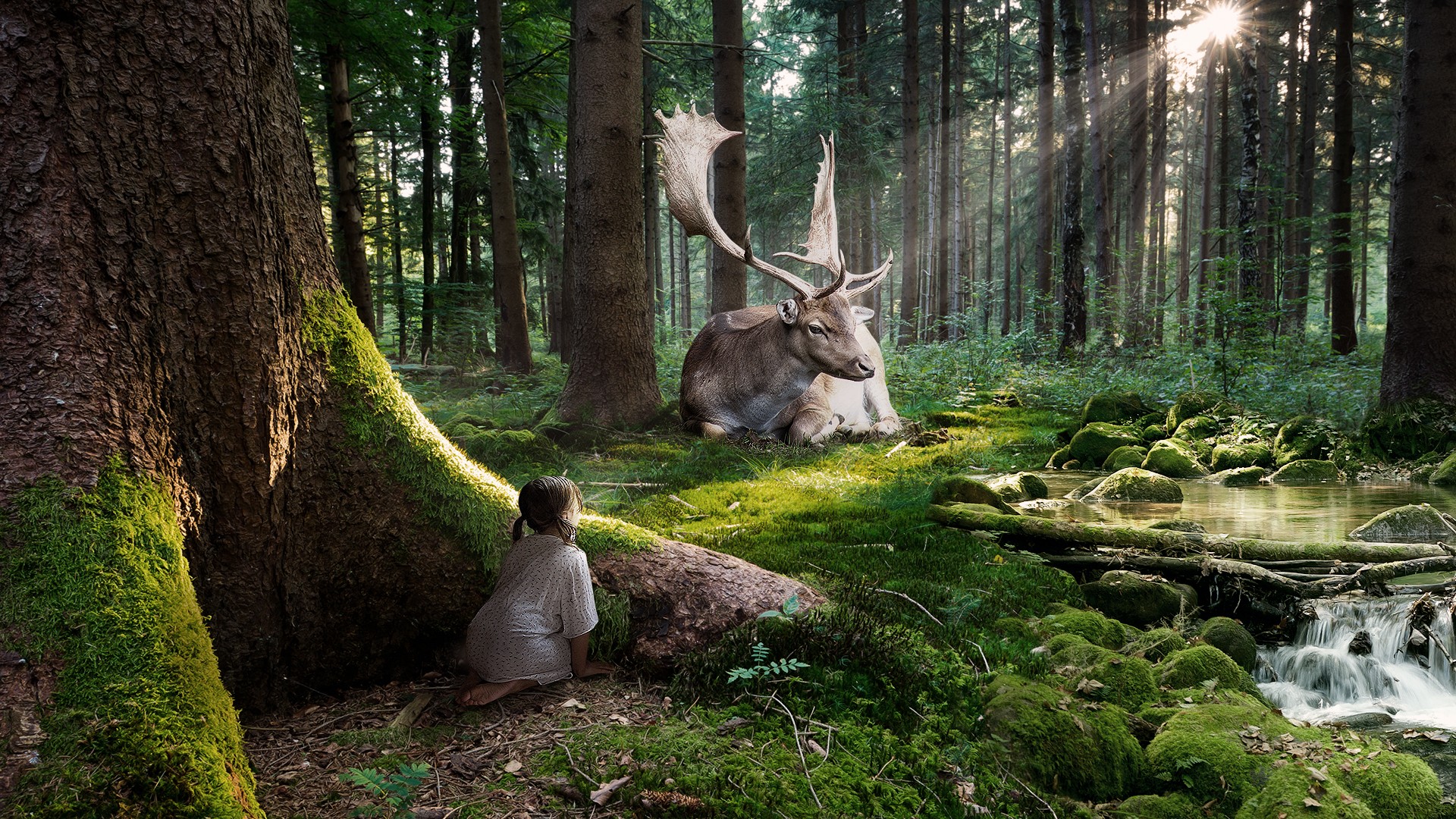 HD desktop wallpaper: Forest, Child, Cute, Photography, Elk, Cgi,  Manipulation download free picture #552503
