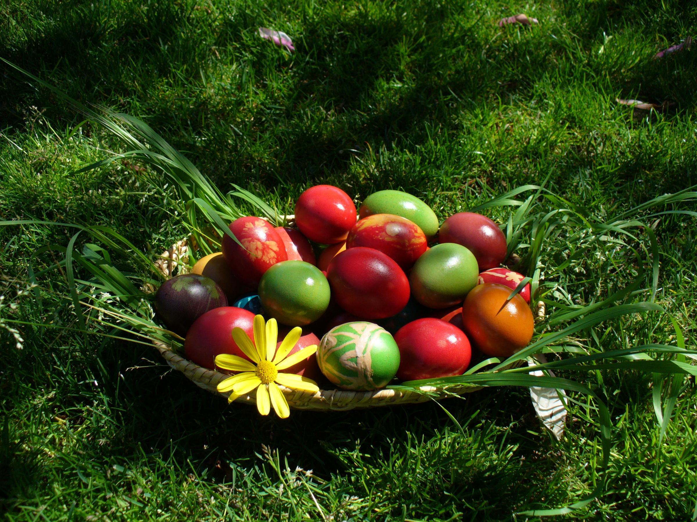 14438 Bildschirmschoner und Hintergrundbilder Ostern auf Ihrem Telefon. Laden Sie eggs, feiertage Bilder kostenlos herunter