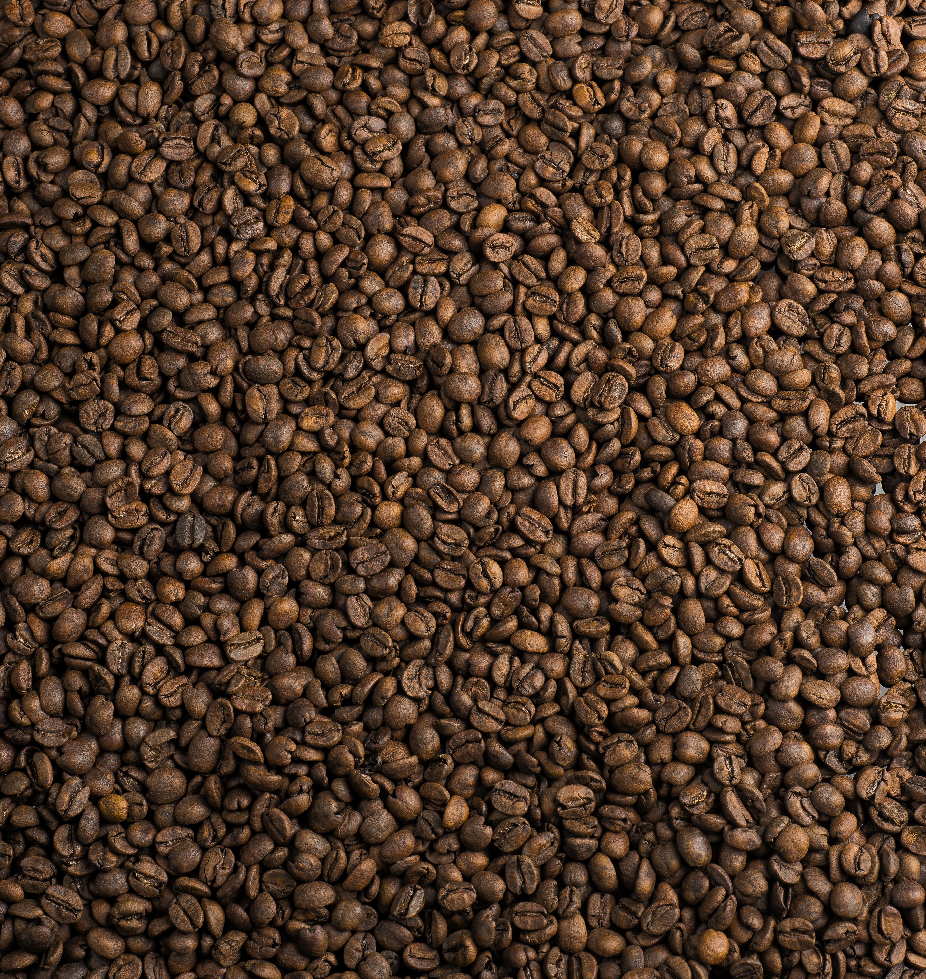 café, coffee, texture, textures, coffee beans, fried, roasted, coffee house HD wallpaper