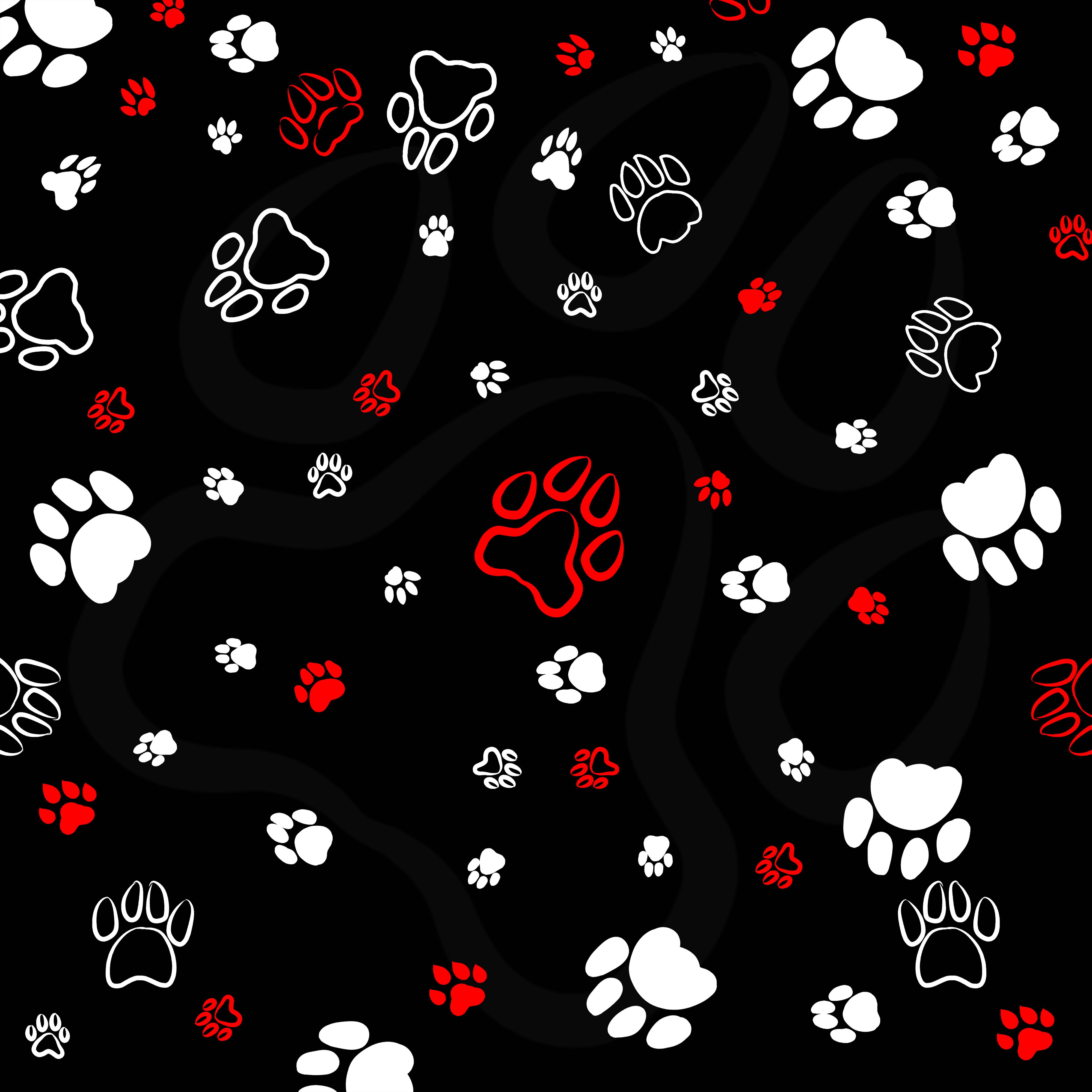 104295 Screensavers and Wallpapers Paws for phone. Download art, patterns, traces, paws pictures for free