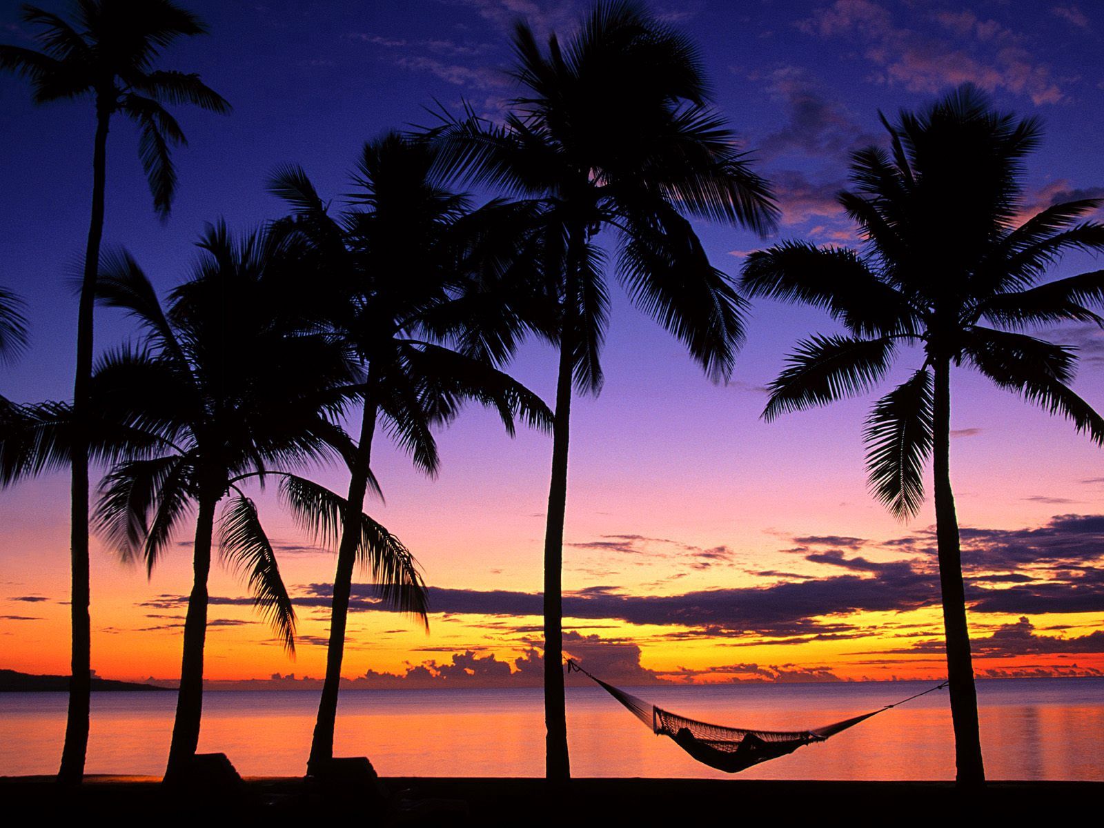 Palms evening, hammock, fiji, bank HD desktop images