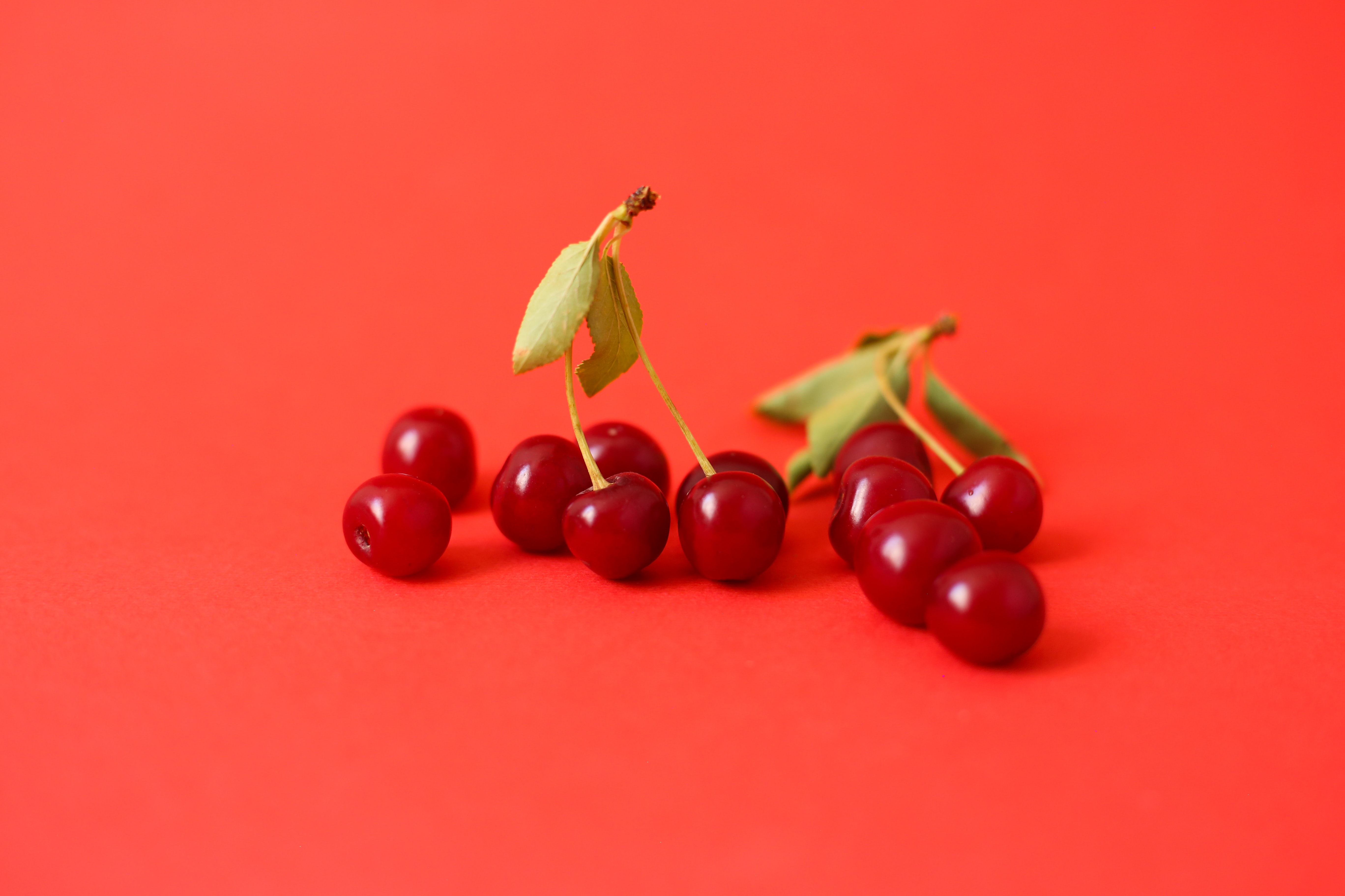 food, berry, cherry, red, branch mobile wallpaper