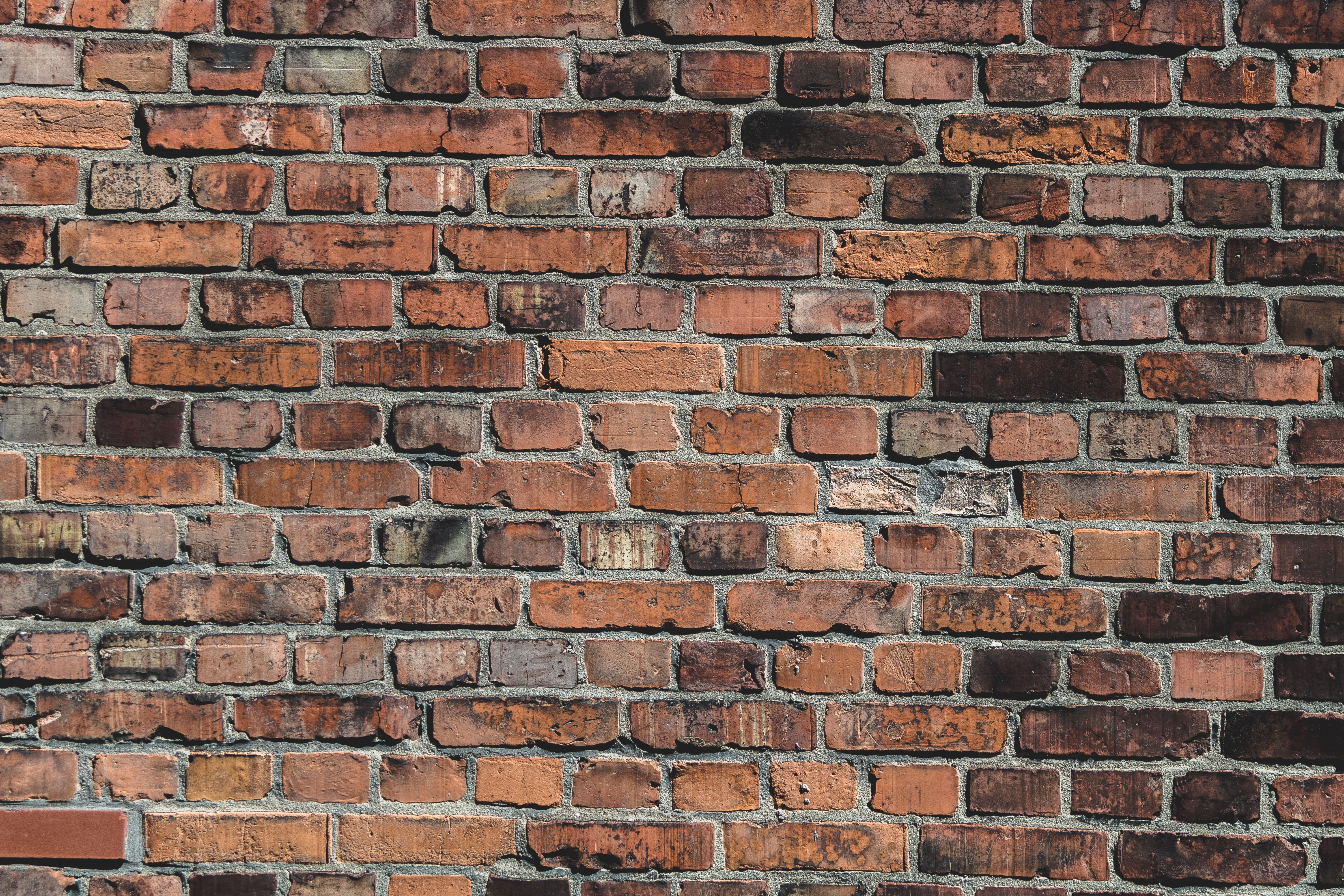 texture, textures, surface, wall, old, bricks, brick wall