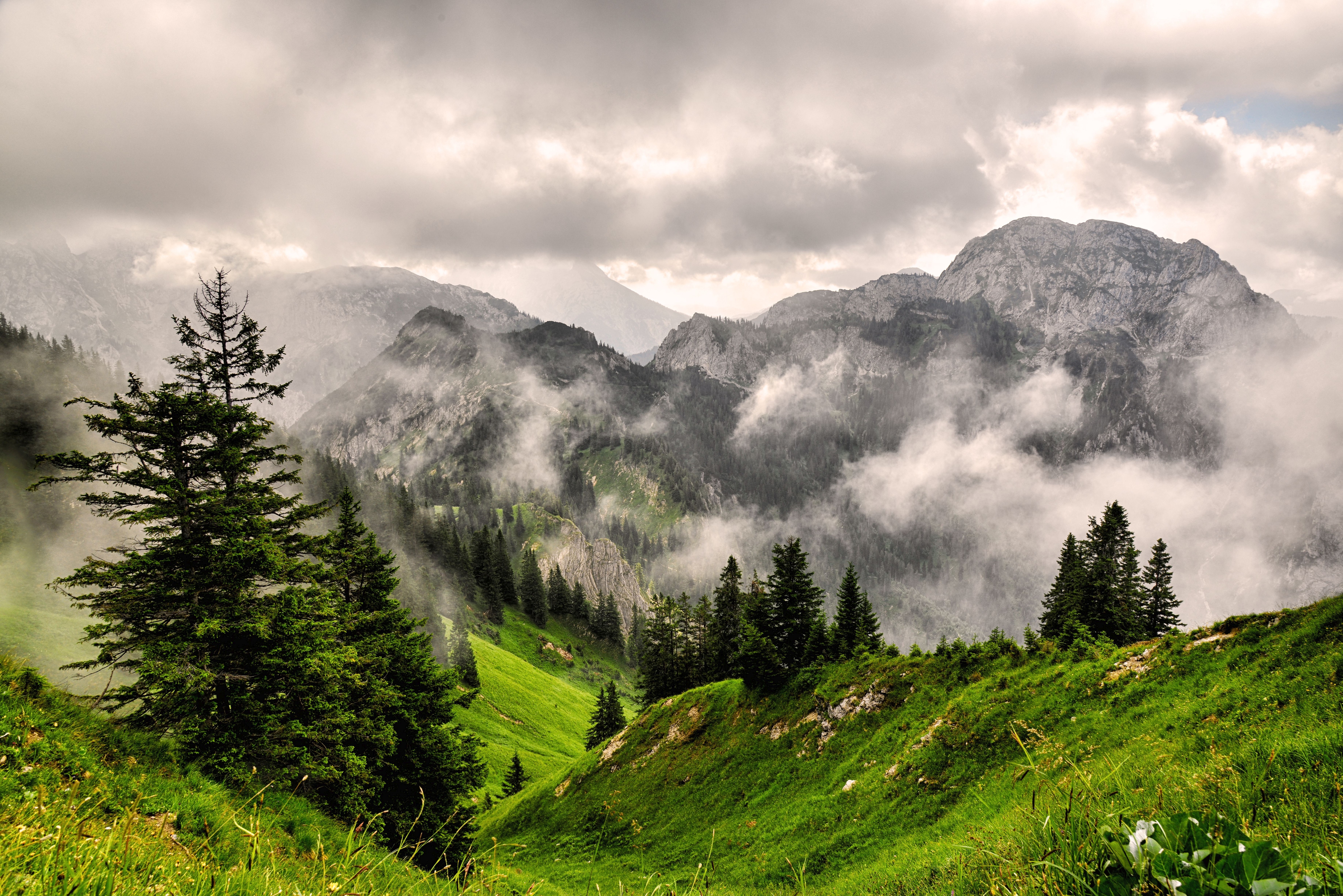 148396 завантажити шпалери гори, вершини, трава, природа, туман, вершина, ліс - заставки і картинки безкоштовно