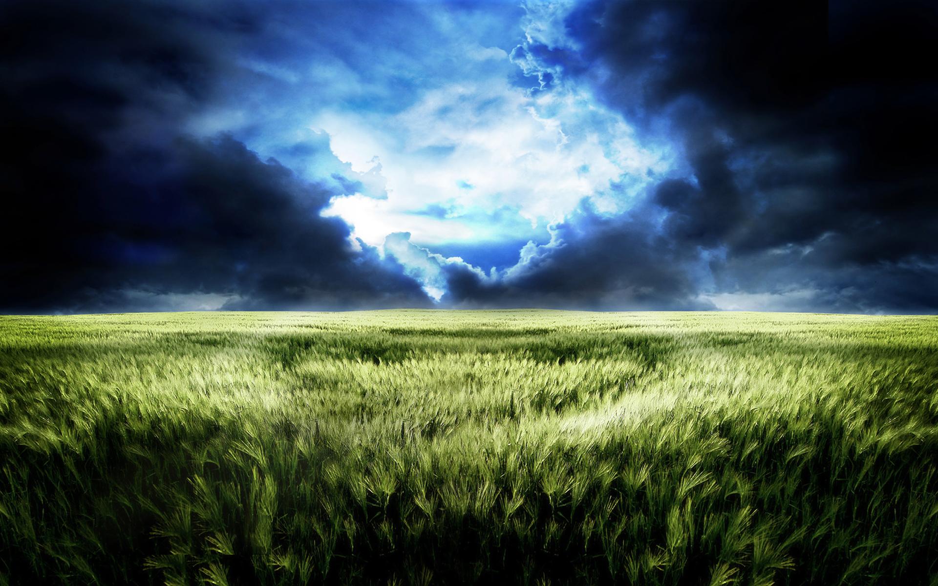 landscape, sky, plant, earth, field, cgi, cloud Free Stock Photo