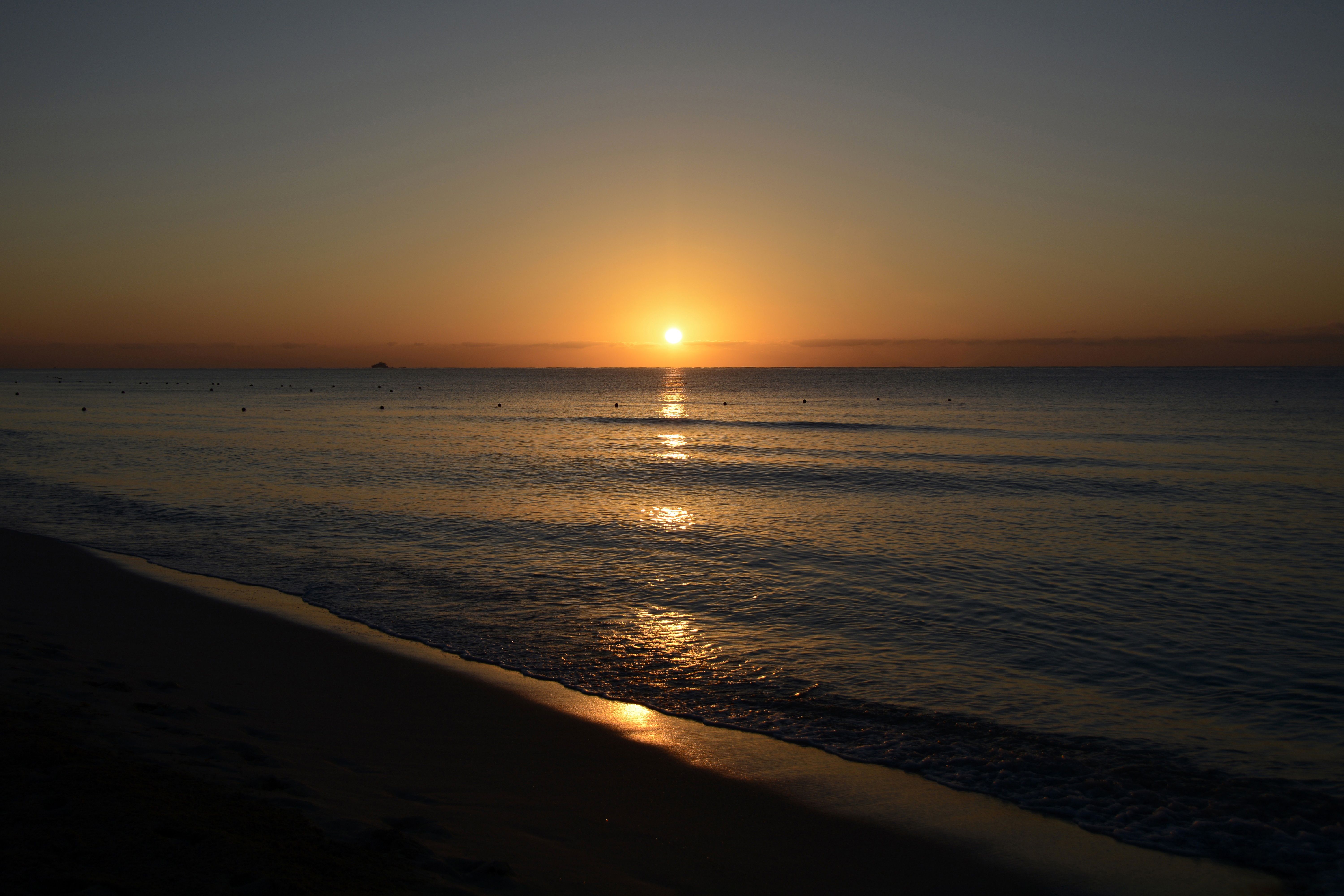 reflection, low tide, sunset, sun, nature, sea, beach iphone wallpaper