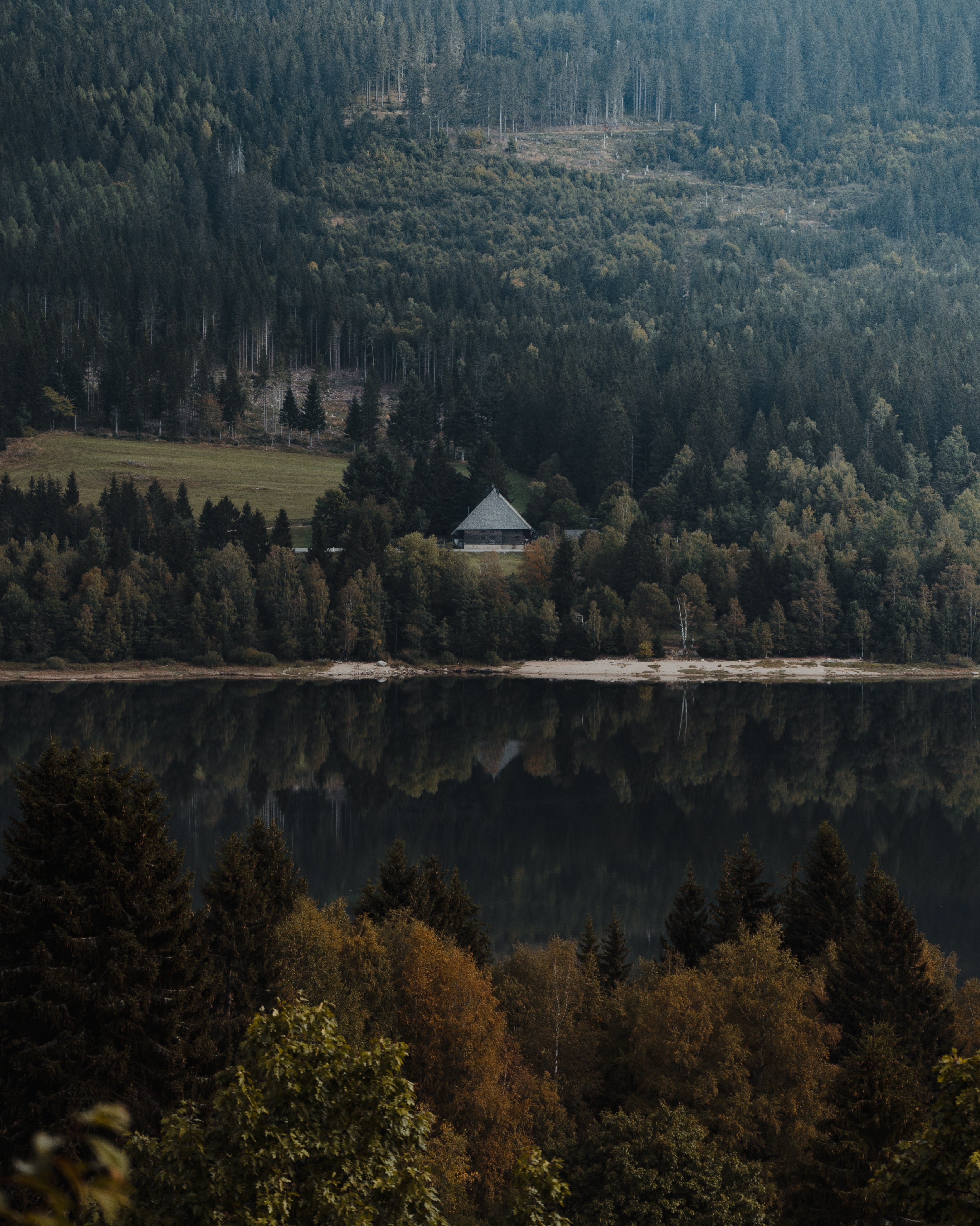 lodge, nature, rivers, forest Vertical Wallpapers