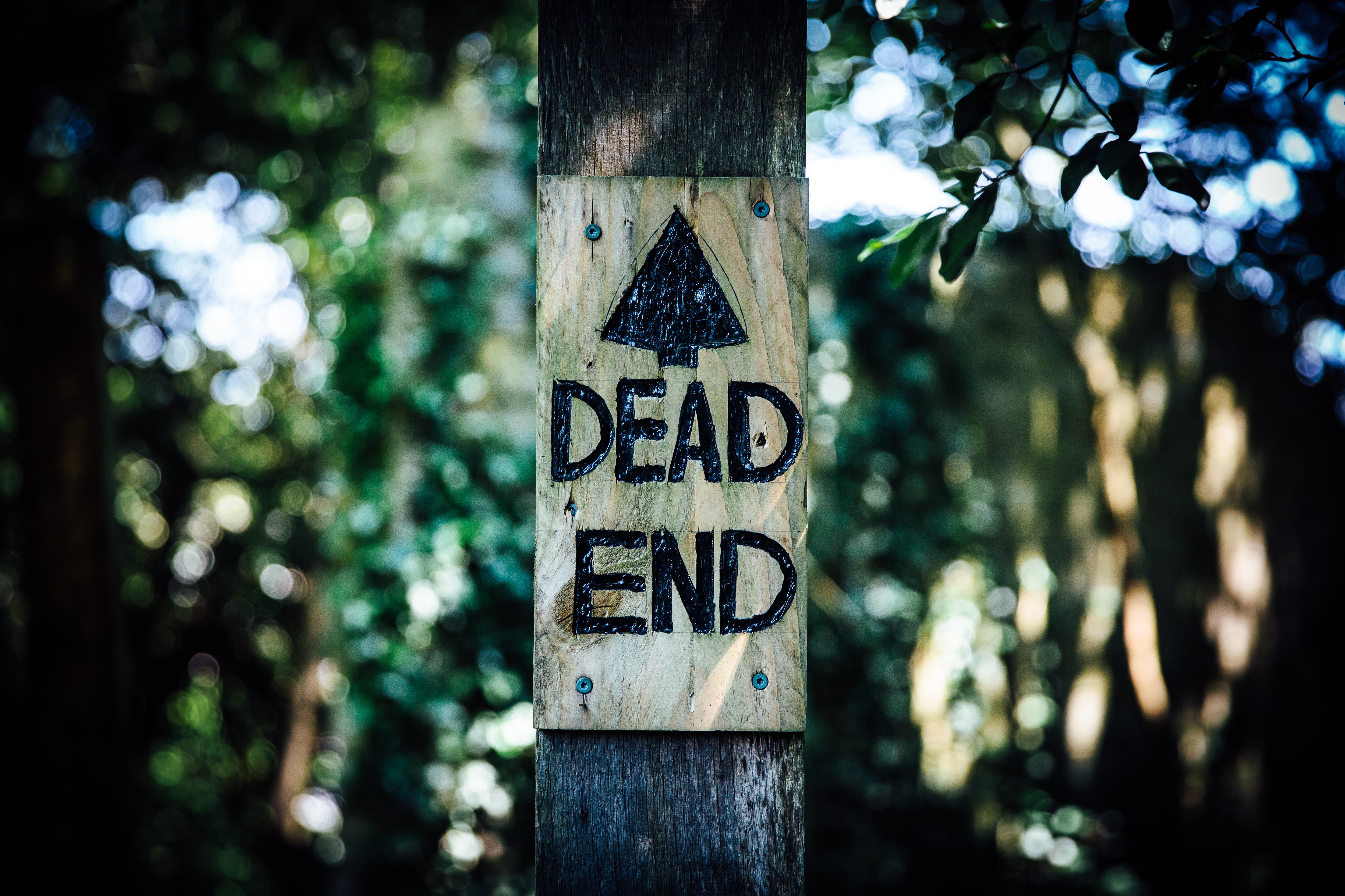dead end, words, inscription, pointer HD Wallpaper for Phone