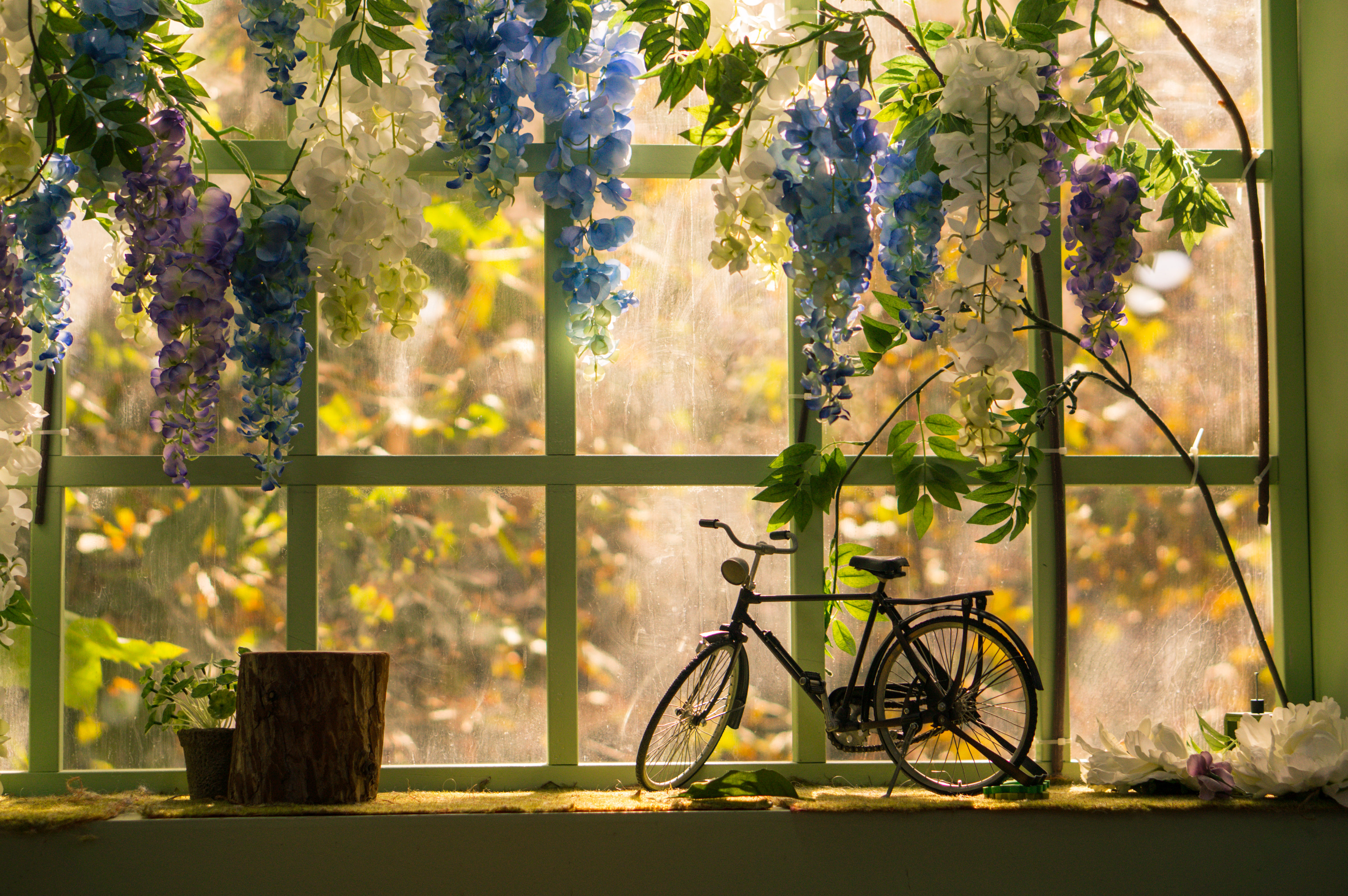 Laden Sie das Sonstige, Blumen, Verschiedenes, Fenster, Statuette, Fahrrad-Bild kostenlos auf Ihren PC-Desktop herunter