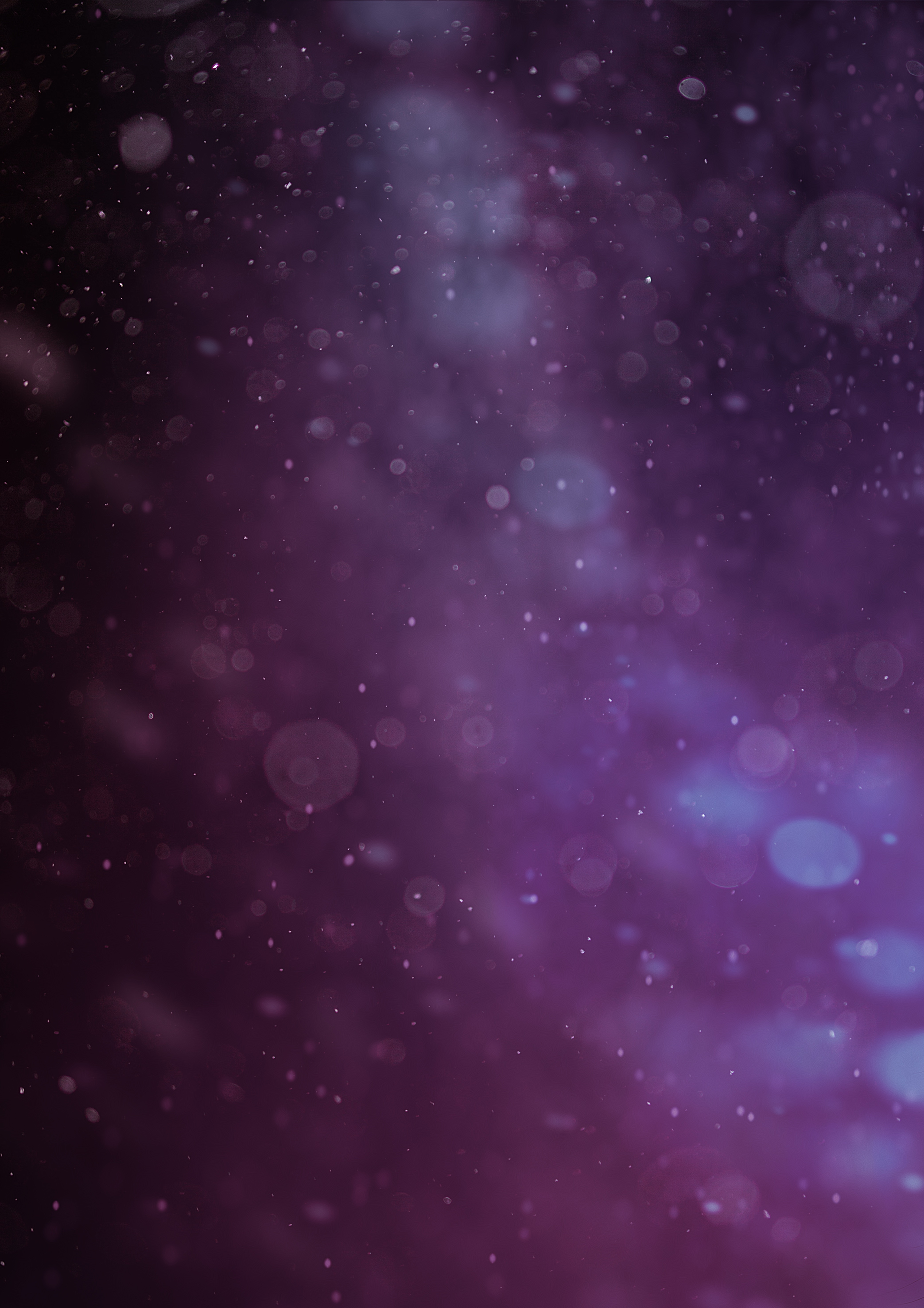 abstract, boquet, violet, bokeh HD Phone wallpaper