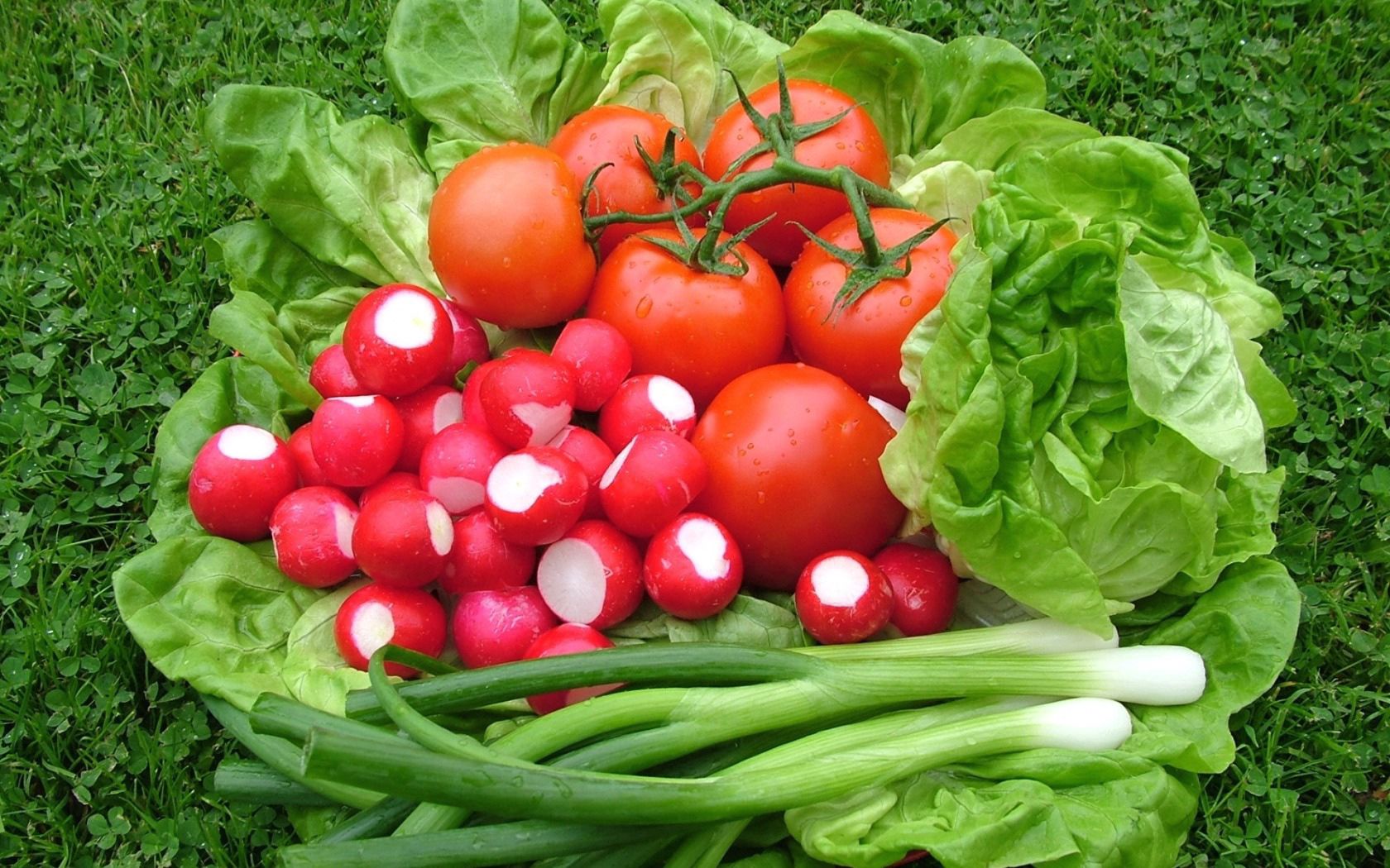 84295 Bild herunterladen lebensmittel, salat, tomaten, zwiebel, redick - Hintergrundbilder und Bildschirmschoner kostenlos