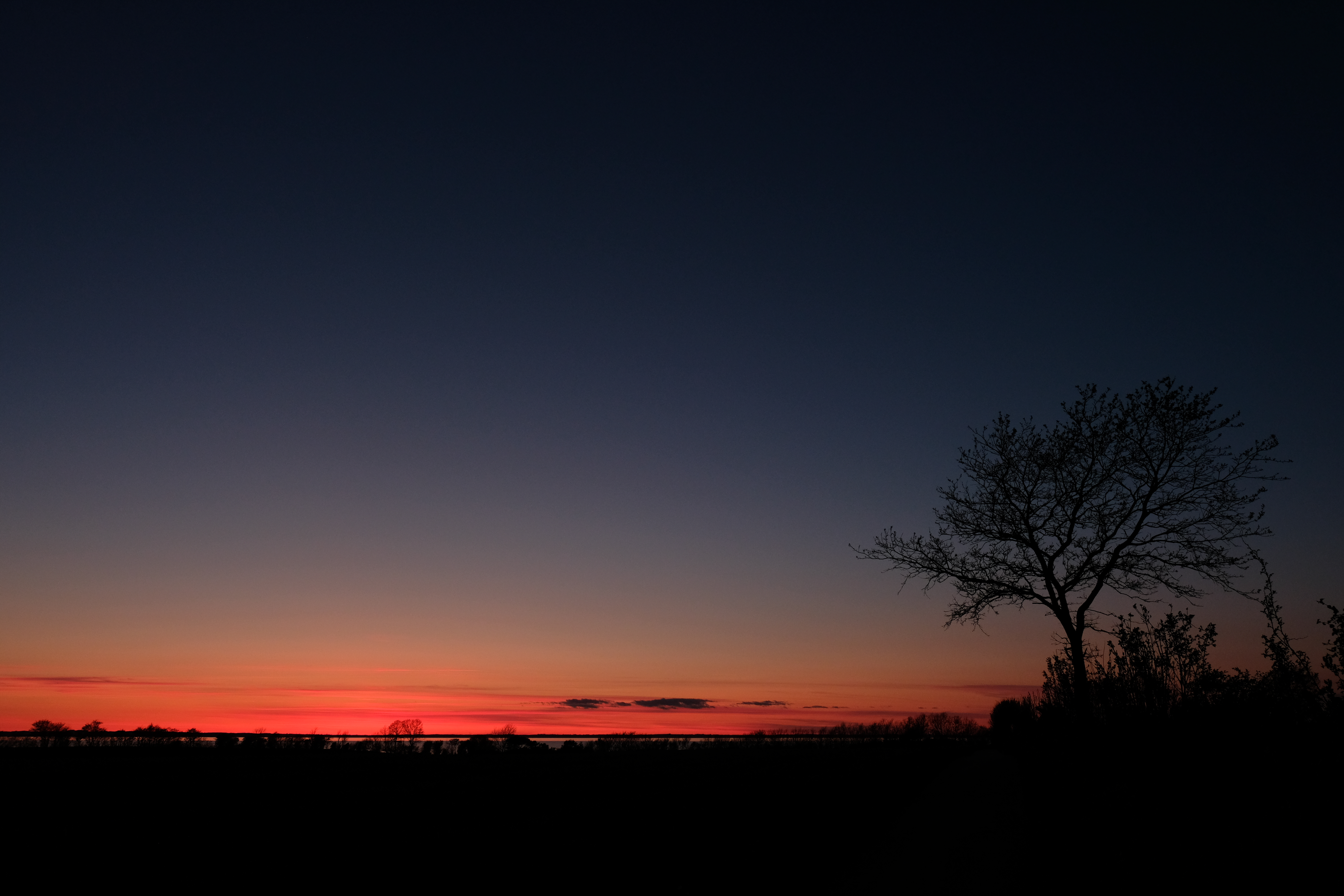 Laden Sie das Sunset, Sky, Übernachtung, Horizont, Dunkel, Holz, Baum-Bild kostenlos auf Ihren PC-Desktop herunter