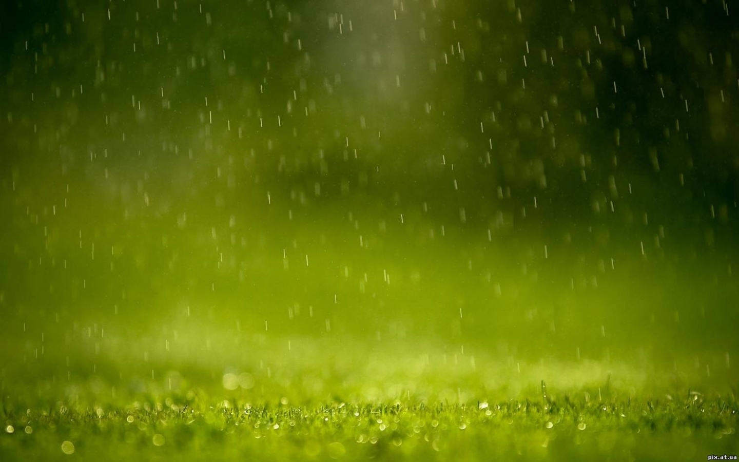 27125 Bild herunterladen grass, hintergrund, regen, grün - Hintergrundbilder und Bildschirmschoner kostenlos