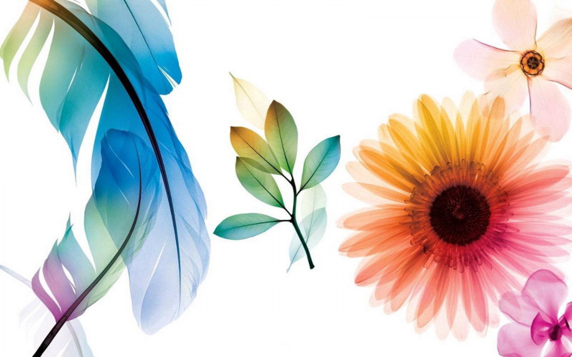 flower, paint, leaves, background Panoramic Wallpapers