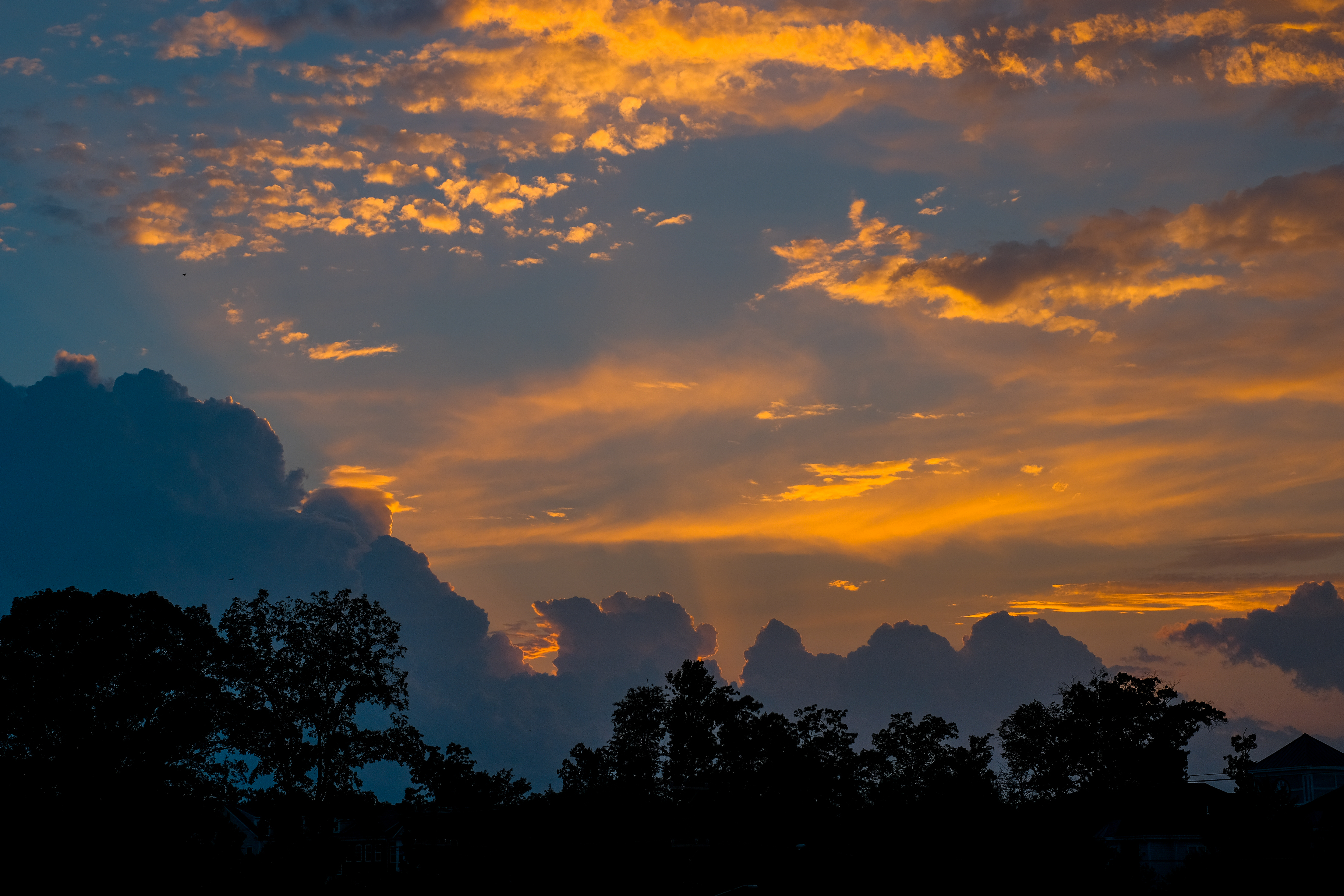 silhouettes, trees, landscape, nature, sunset, clouds 4K Ultra