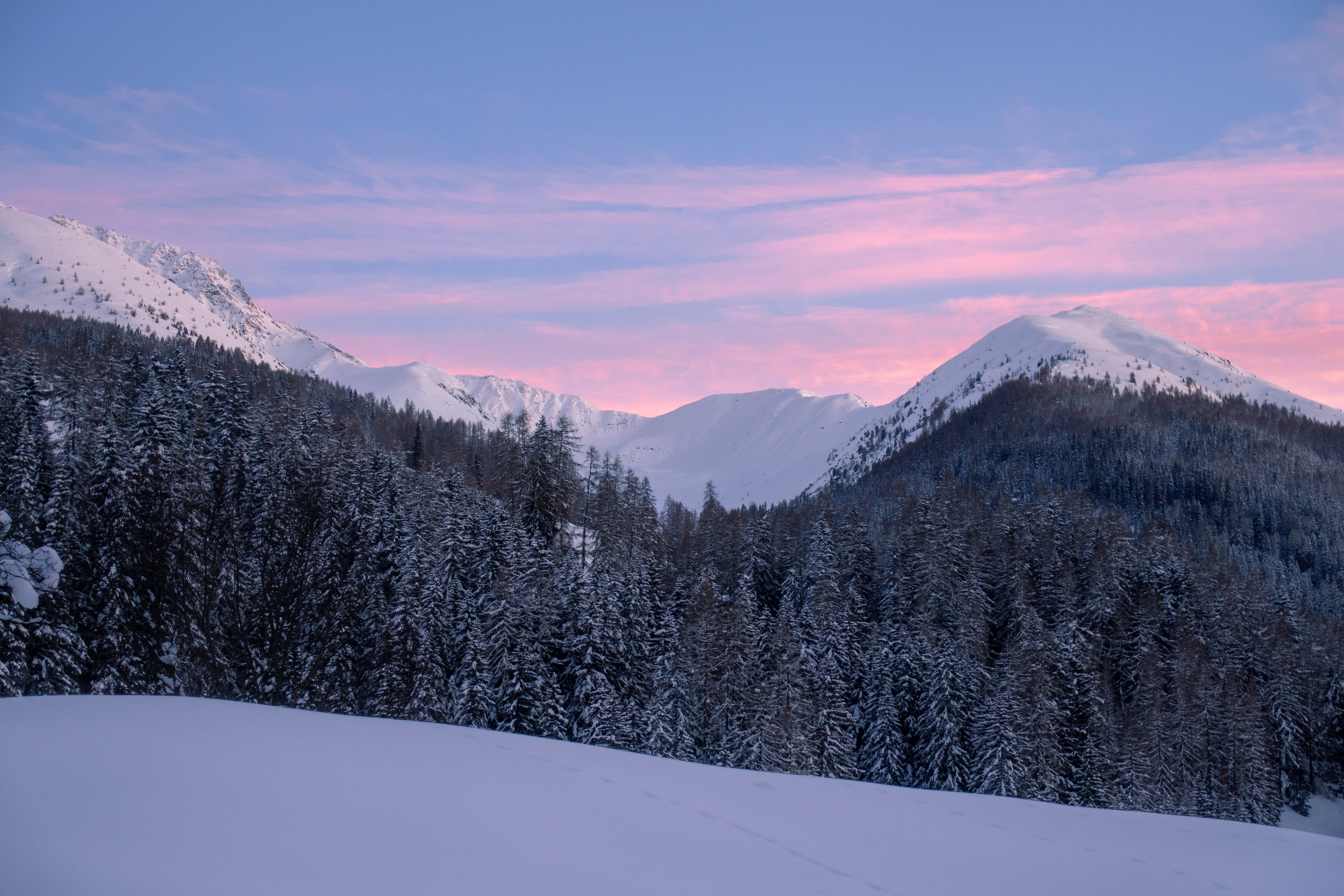134665 скачать обои природа, горный пейзаж, заснеженный, деревья, снег, зима, горы, швейцария - заставки и картинки бесплатно