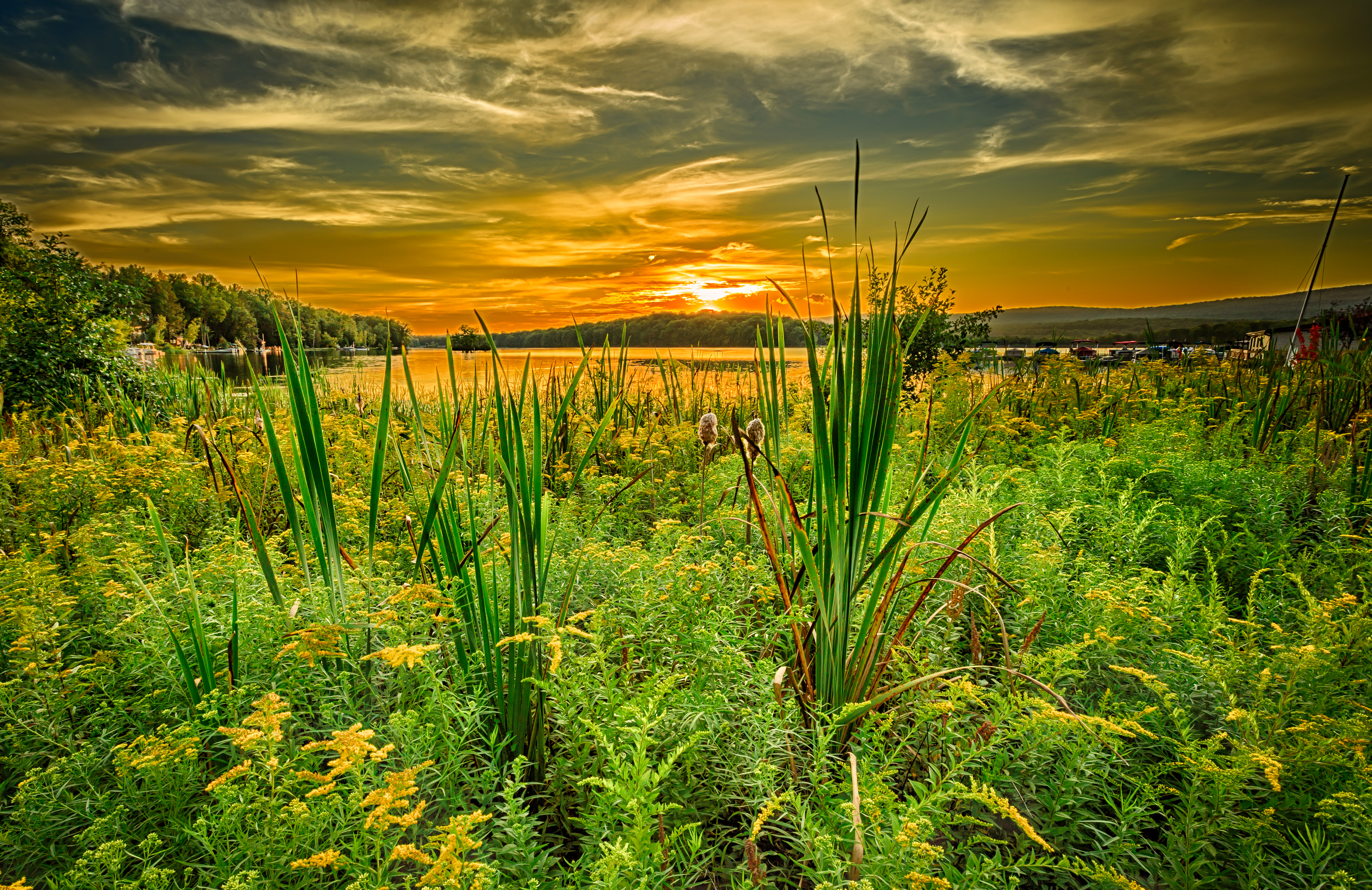 Laden Sie das Flüsse, Sommer, Natur, Sunset, Grass, Horizont-Bild kostenlos auf Ihren PC-Desktop herunter