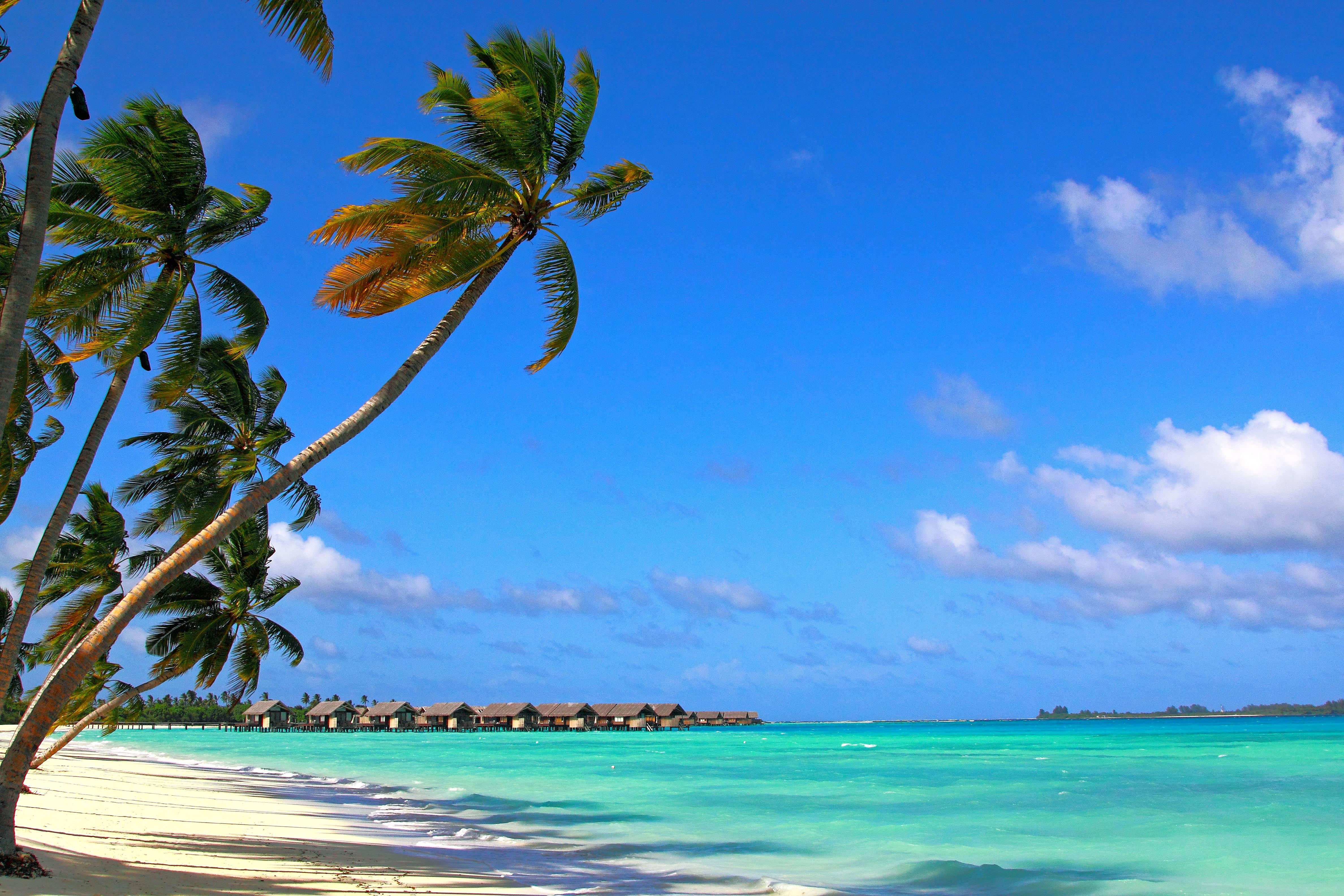 Laden Sie das Sommer, Natur, Strand, Tropen, Malediven-Bild kostenlos auf Ihren PC-Desktop herunter